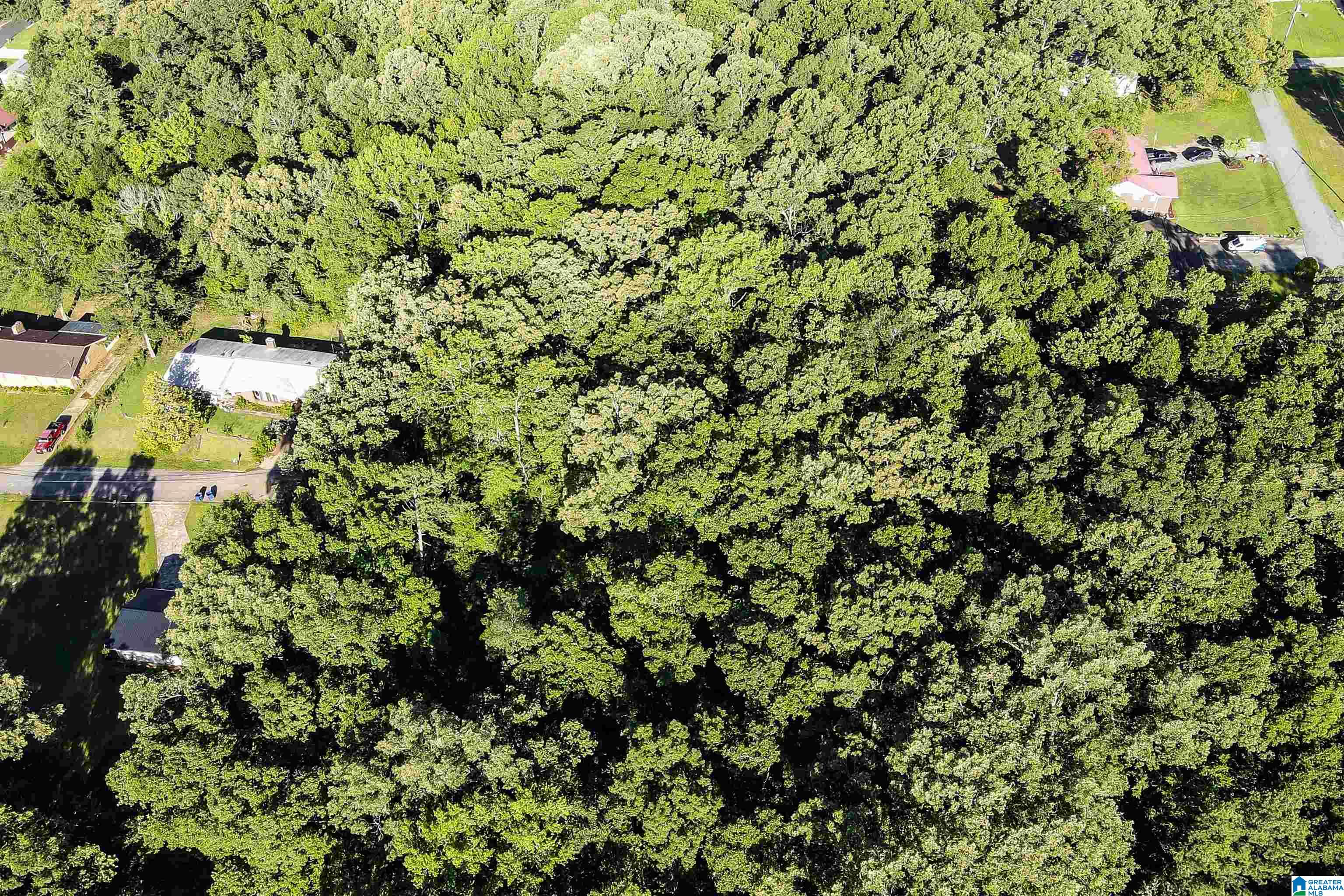 4th image of 0 Glade View Dr, Anniston, AL 36206 | MLS# 21454524