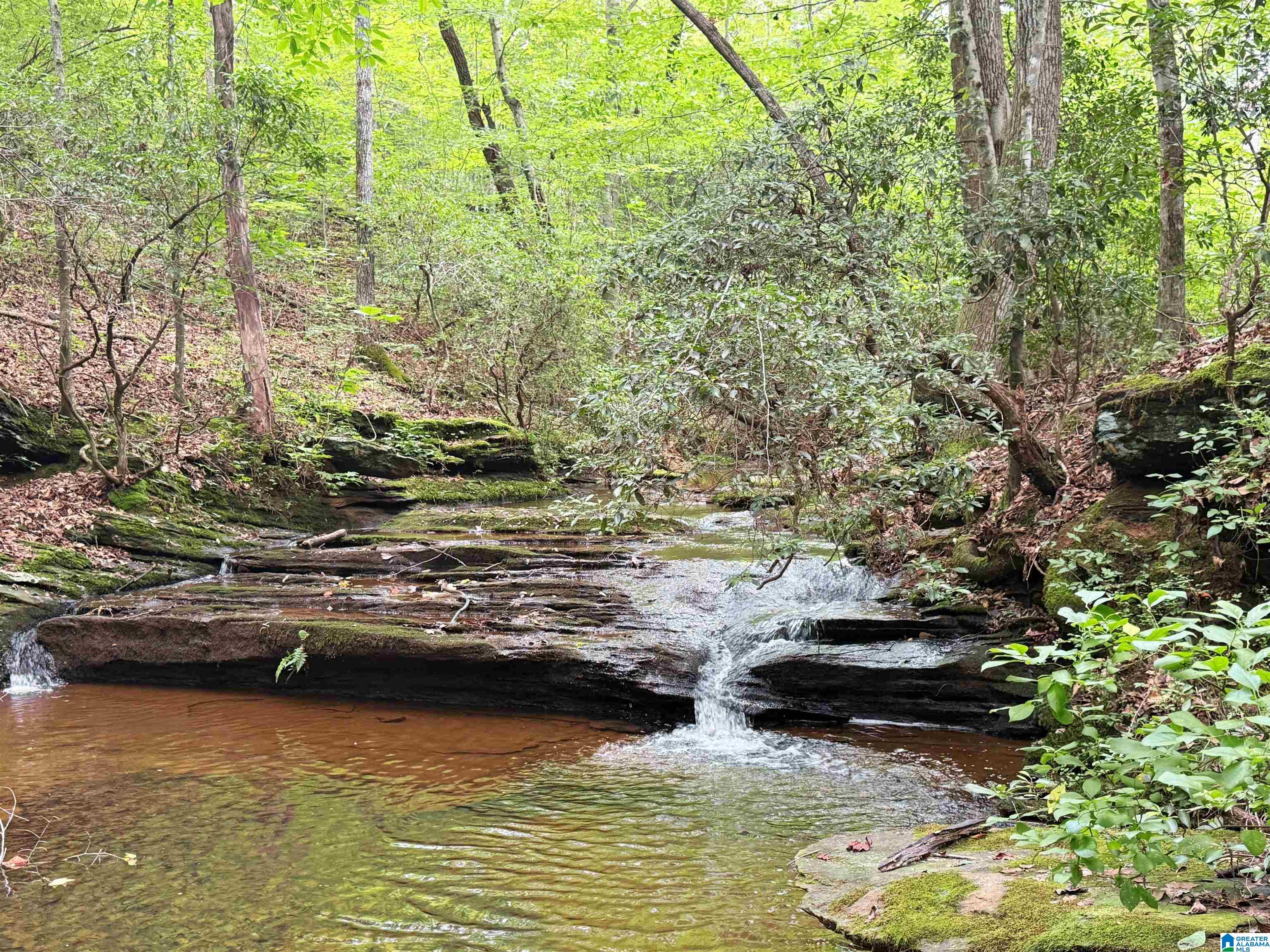 3rd image of 4264 County Road 61, Roanoke, AL 36274 | MLS# 21454539