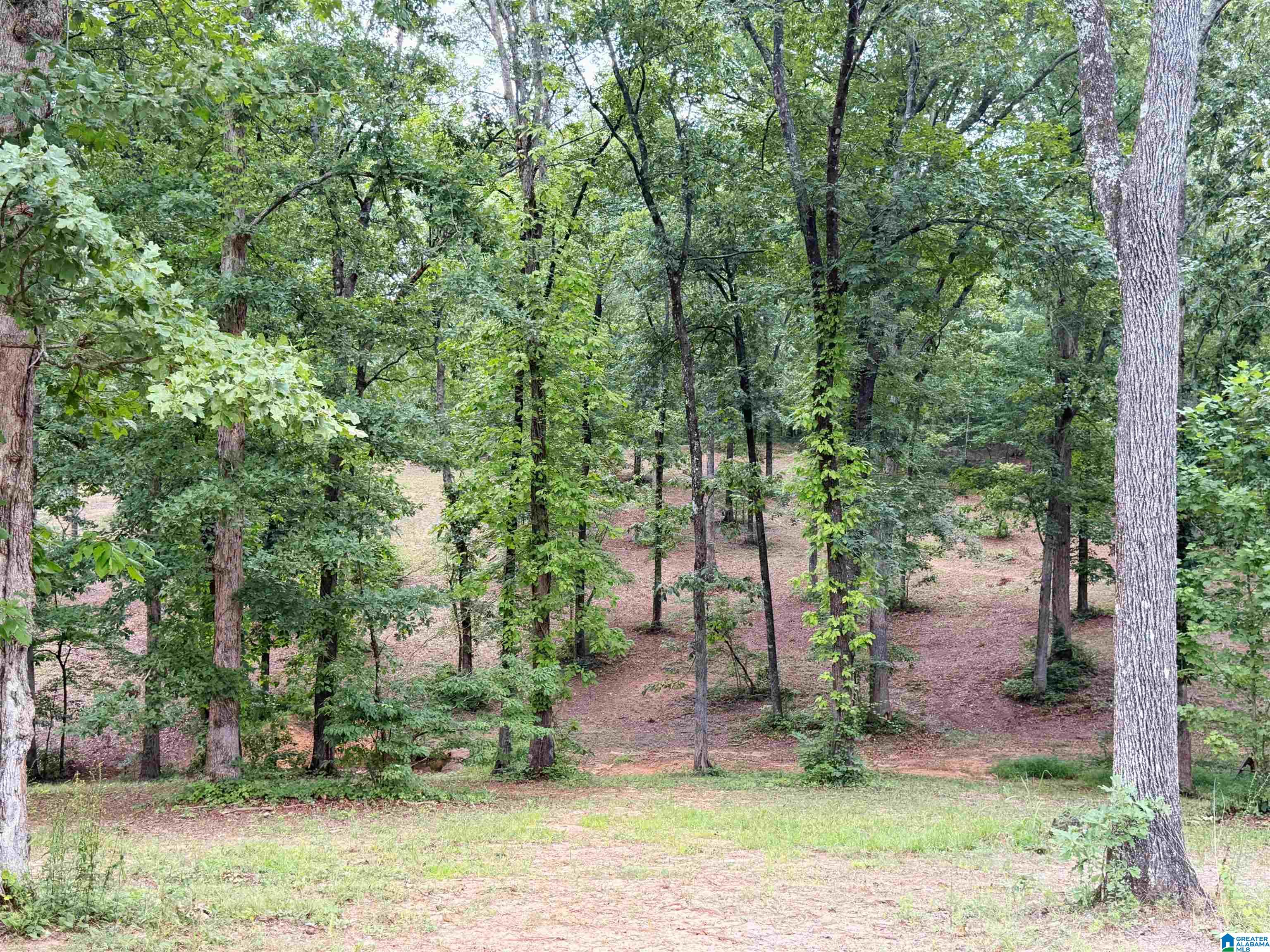 80th image of 4264 County Road 61, Roanoke, AL 36274 | MLS# 21454539
