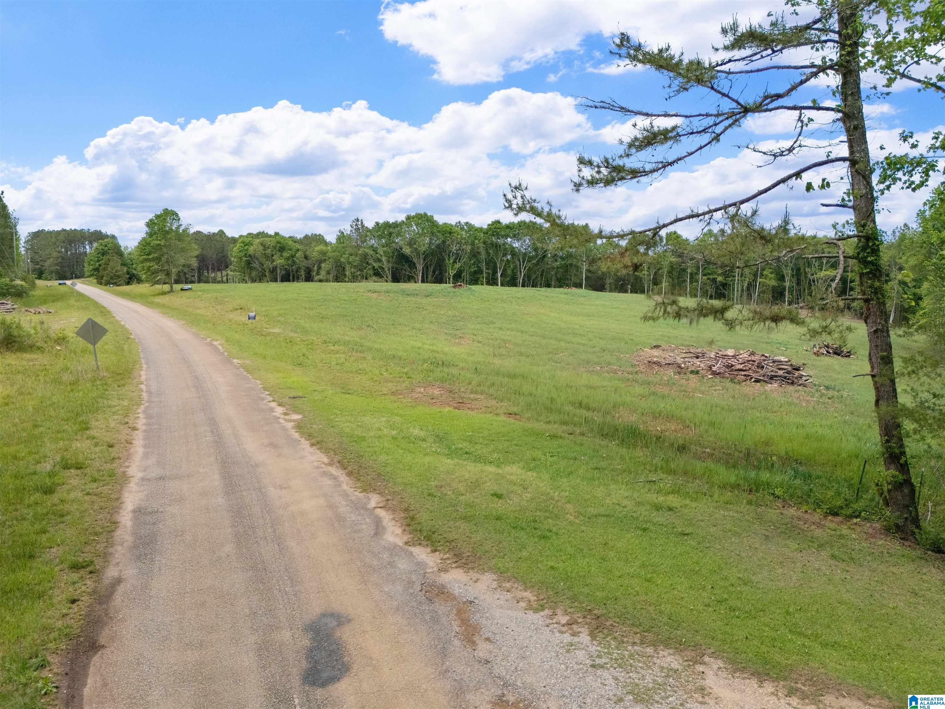 Photo 3 of Sale Pending at 0 County Rd 432, Woodland, AL 36280 | MLS# 21454700 | Listing updated on 2026-08-26