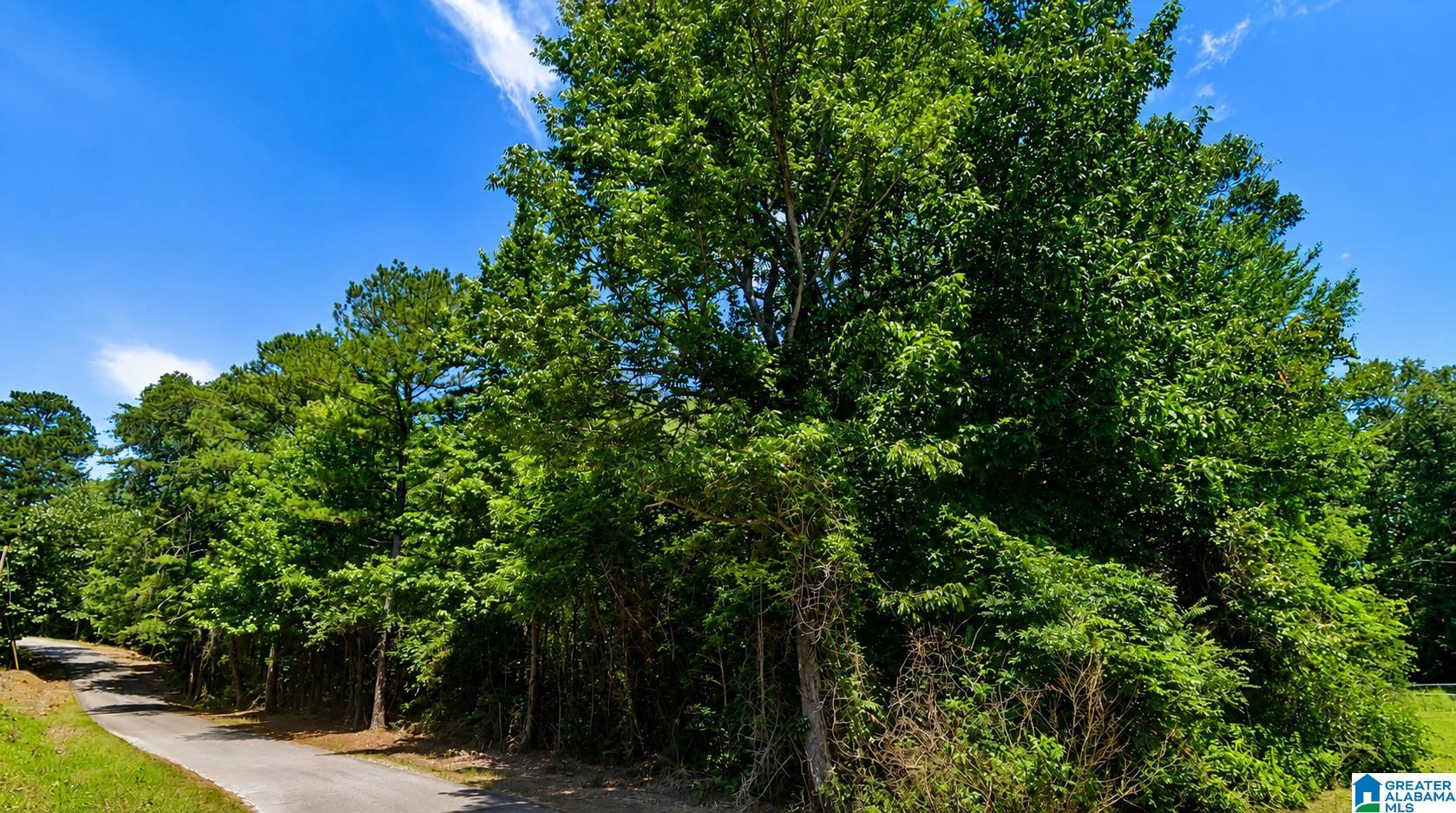 SHELTERED COVE ROAD