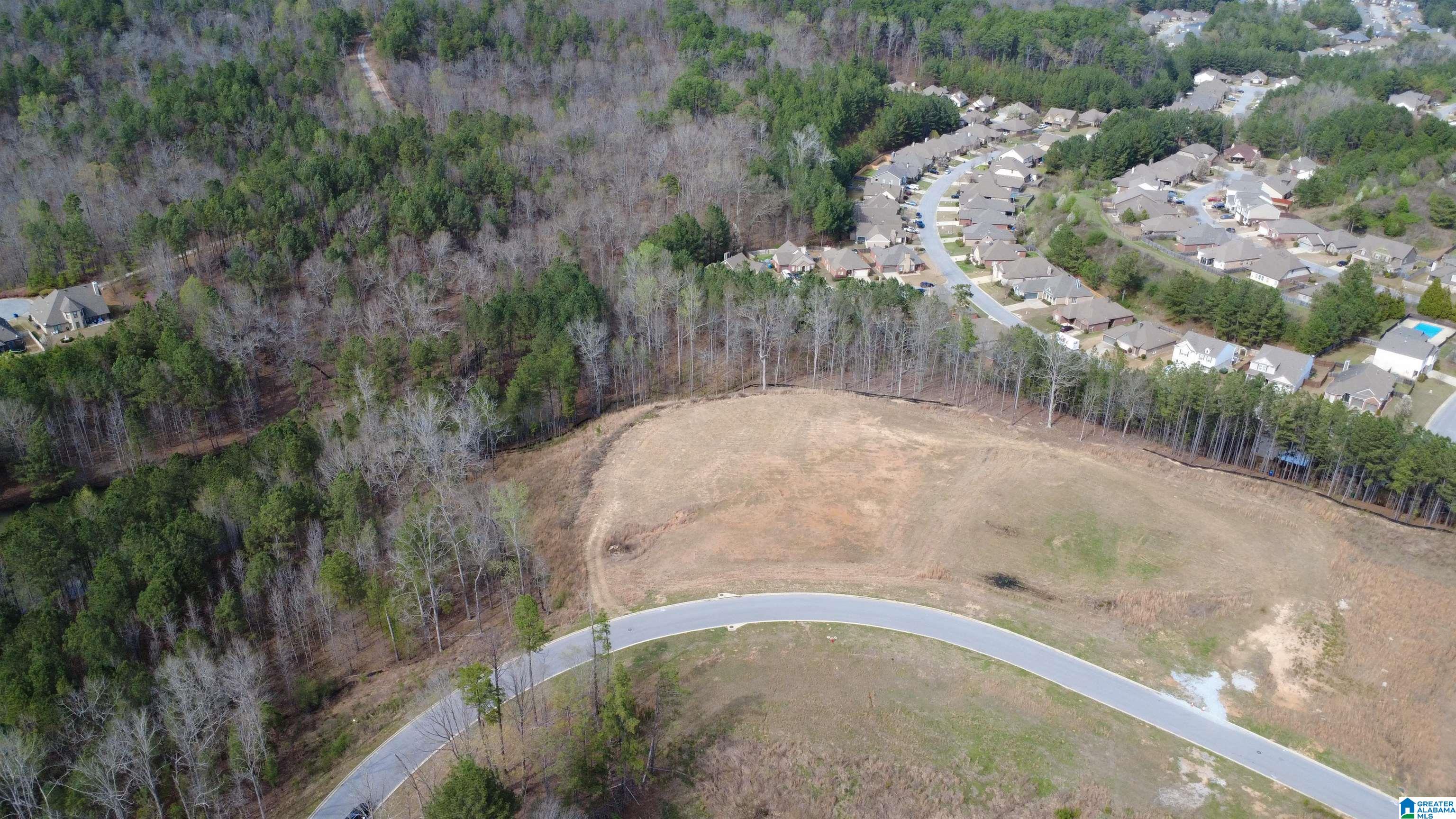 6th image of 335 Foothills Pl, Chelsea, AL 35043 | MLS# 21454743