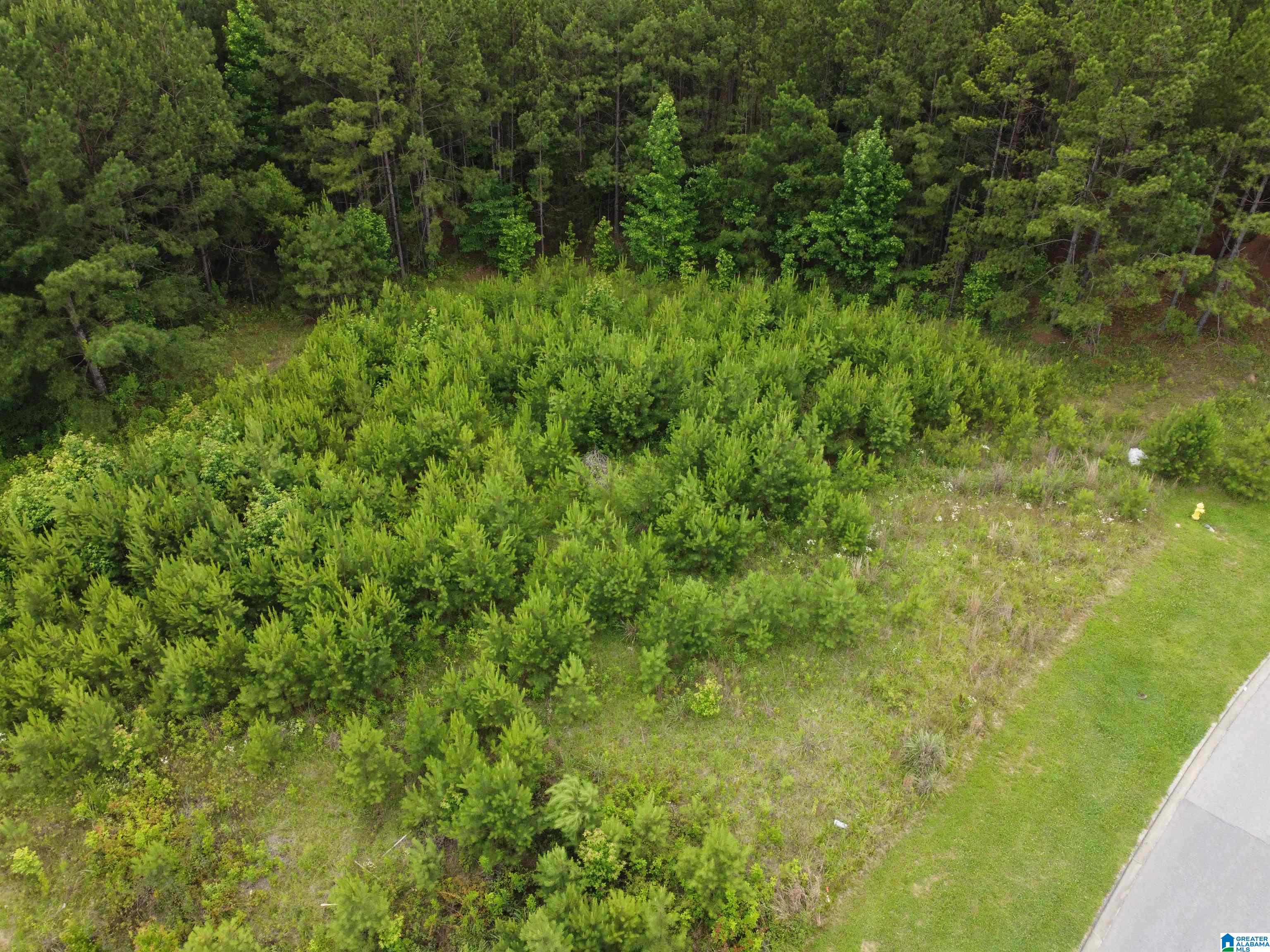 4th image of 340 Applegate Parkway, Pelham, AL 35124 | MLS# 21454748