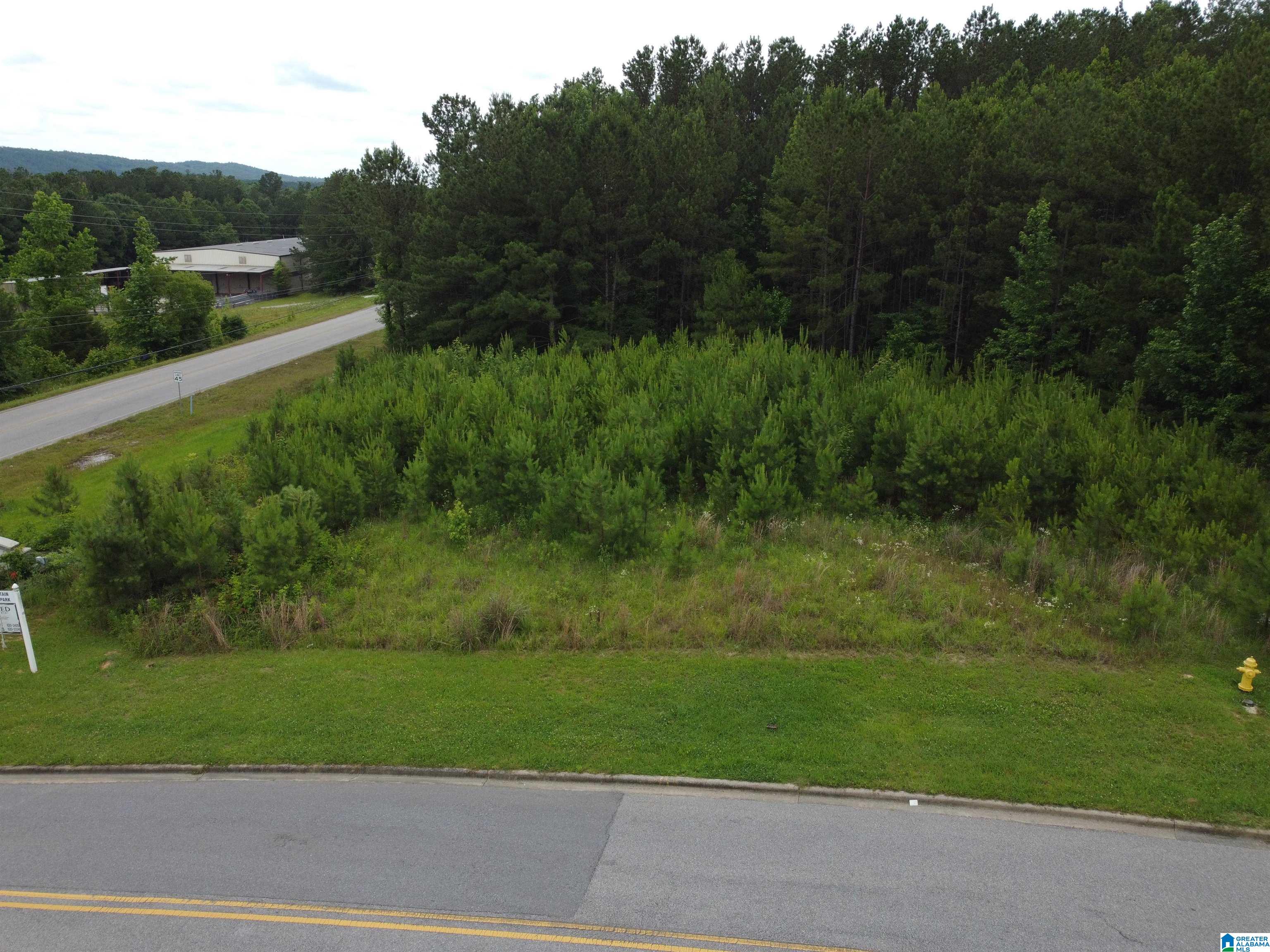 3rd image of 360 Applegate Parkway, Pelham, AL 35124 | MLS# 21454751