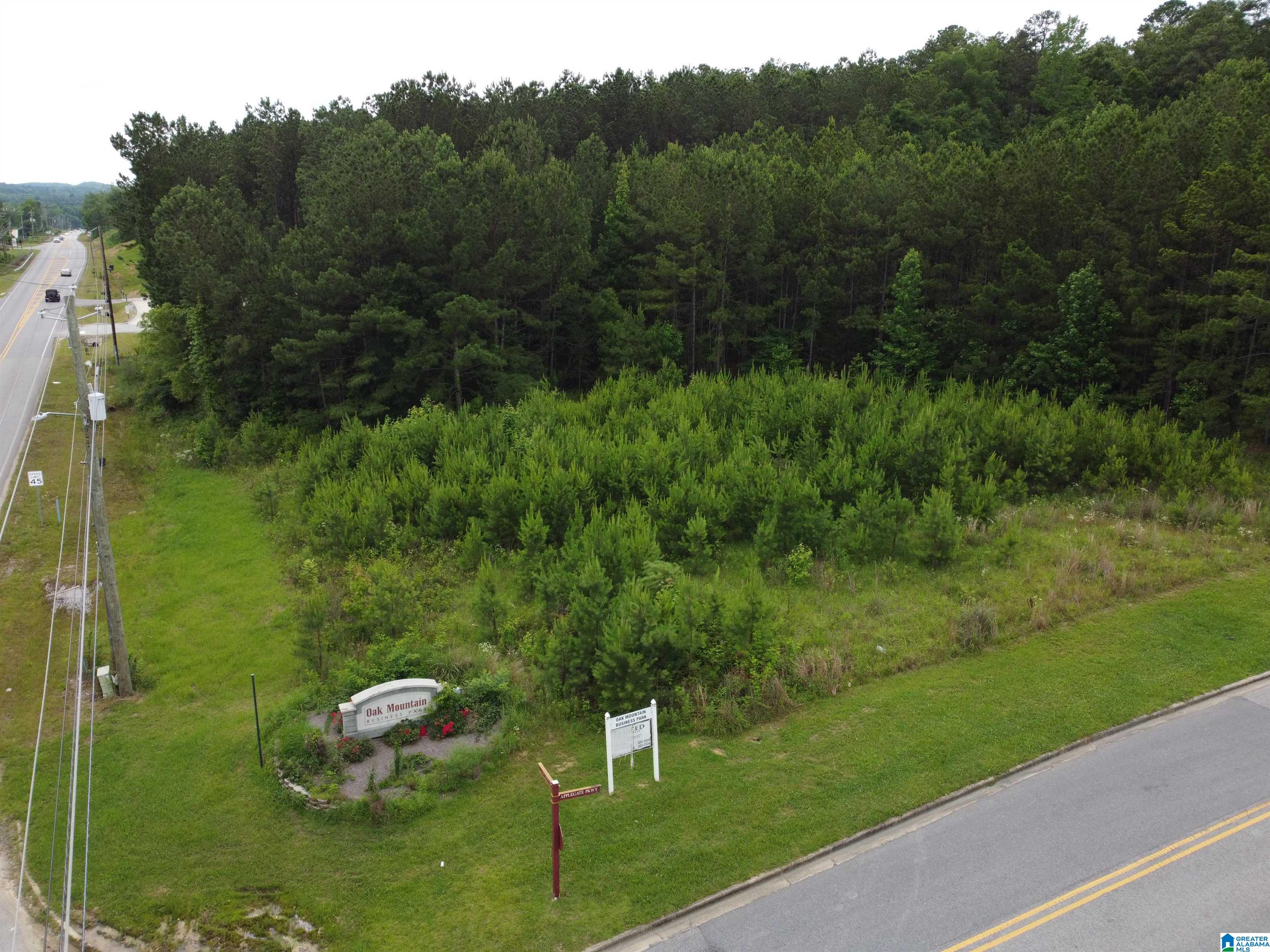4th image of 360 Applegate Parkway, Pelham, AL 35124 | MLS# 21454751
