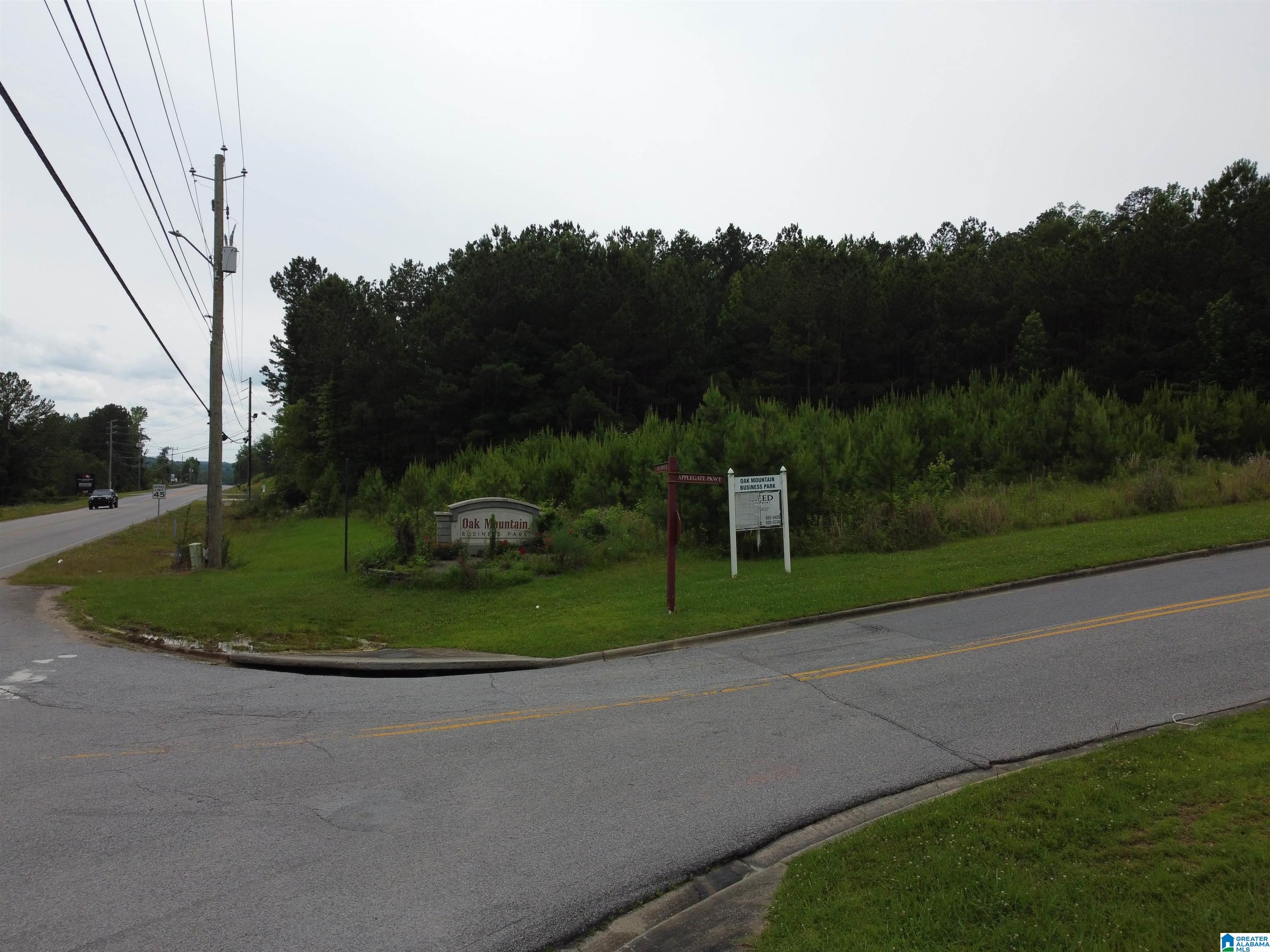 5th image of 360 Applegate Parkway, Pelham, AL 35124 | MLS# 21454751