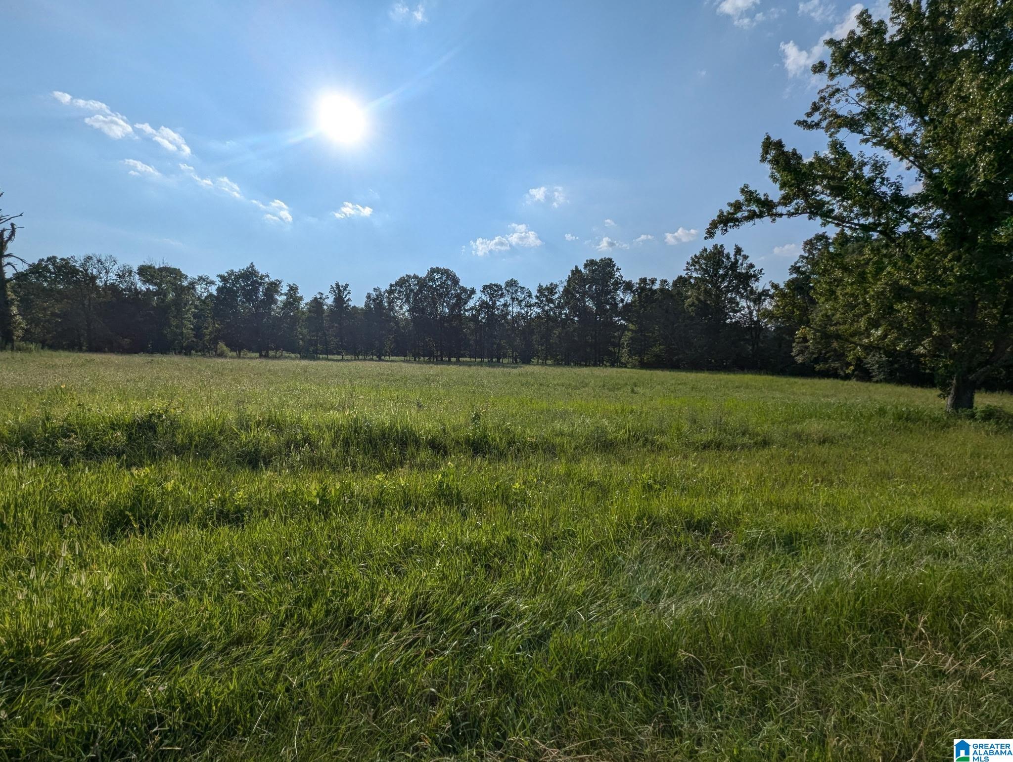 Homes for sale in Ashville, AL | 0 Poplar Springs Road, Ashville, AL 35173 | MLS# 21454758