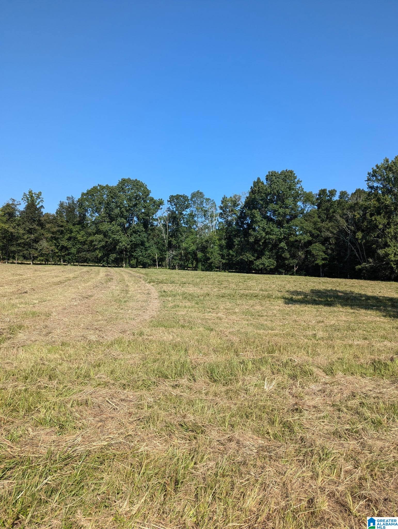 Homes for sale in Ashville, AL | 0 Poplar Springs Road, Ashville, AL 35173 | MLS# 21454758
