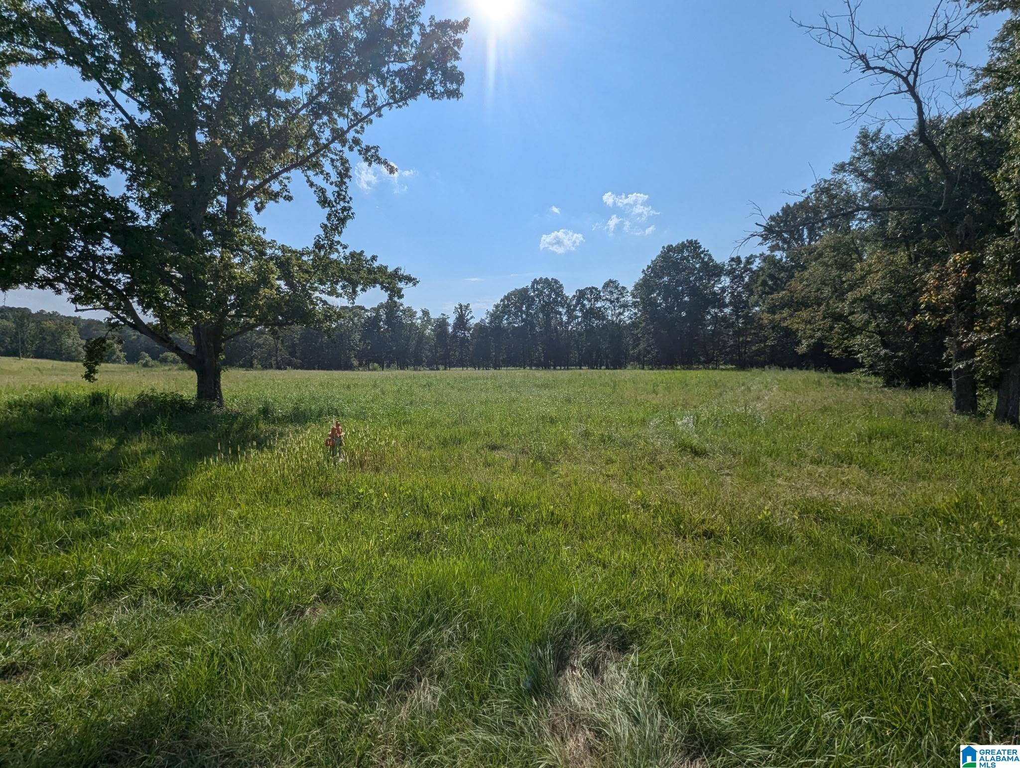 Homes for sale in Ashville, AL | 0 Poplar Springs Road, Ashville, AL 35173 | MLS# 21454758