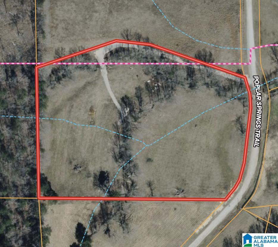Homes for sale in Ashville, AL | 0 Poplar Springs Road, Ashville, AL 35173 | MLS# 21454758