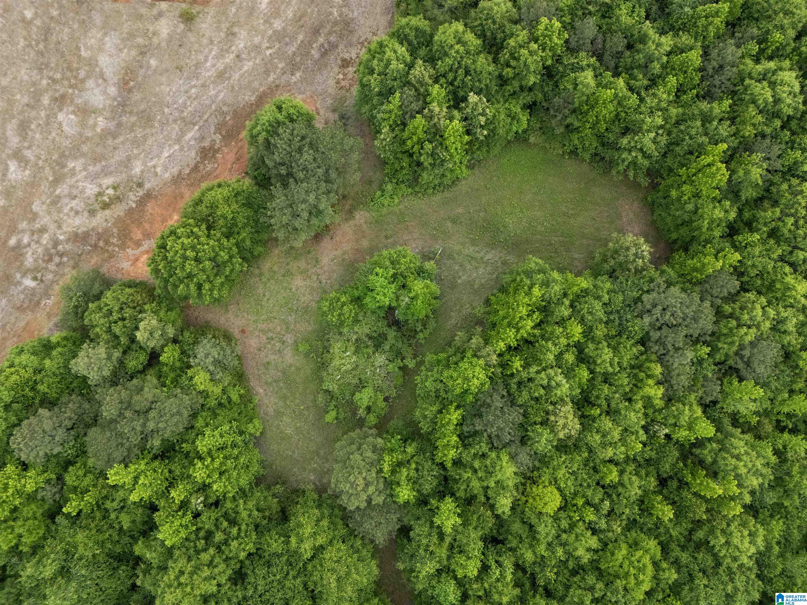 Homes for sale in Piedmont, AL | 495 County Road 29, Piedmont, AL 36272 | MLS# 21454814