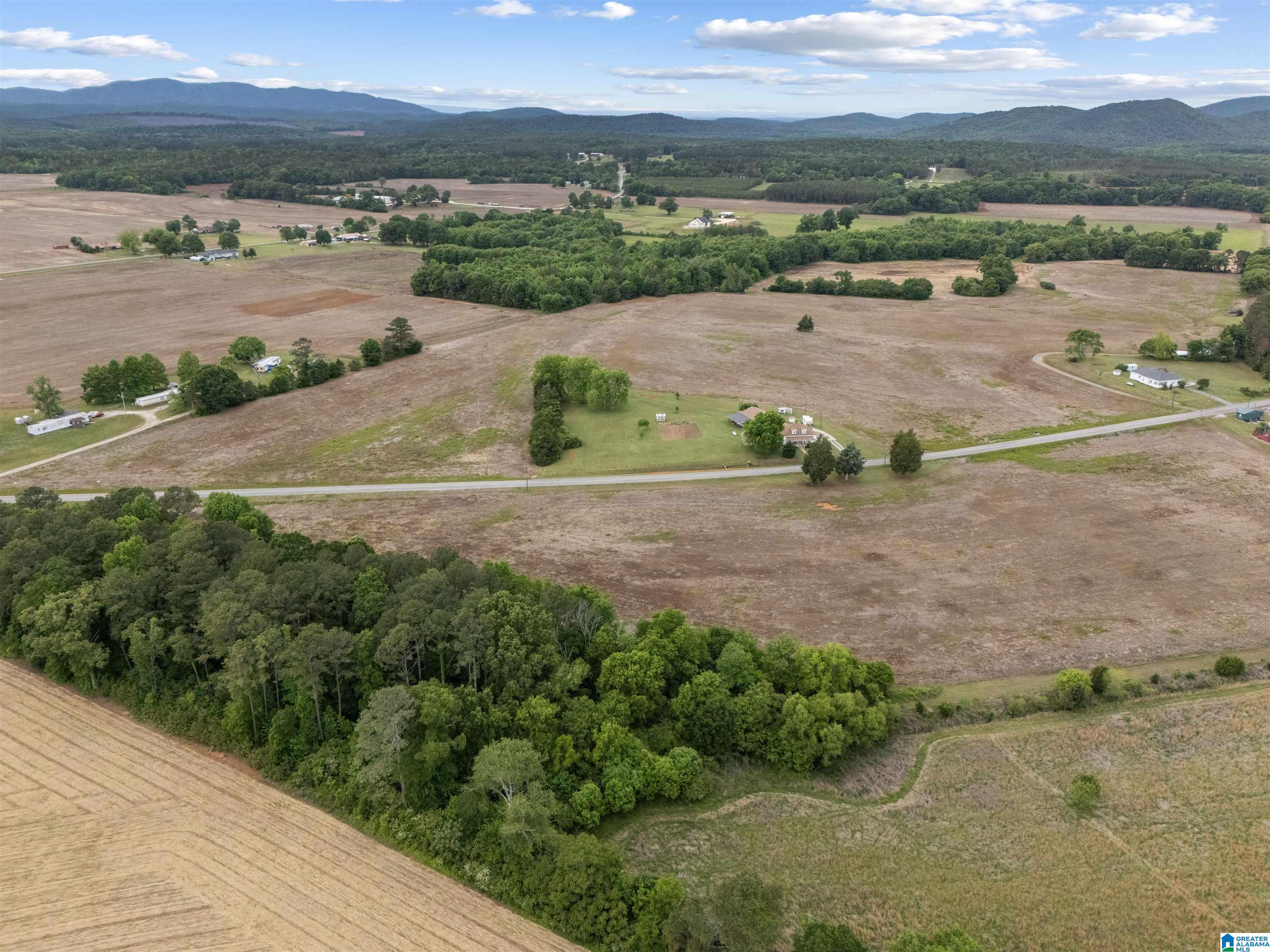 Homes for sale in Piedmont, AL | 495 County Road 29, Piedmont, AL 36272 | MLS# 21454814