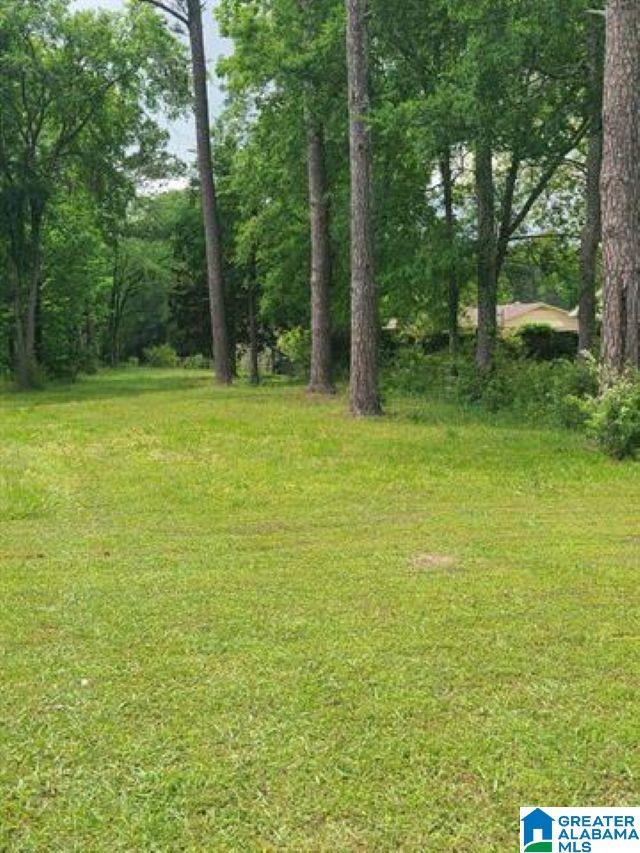 6114 SPRUCE DRIVE