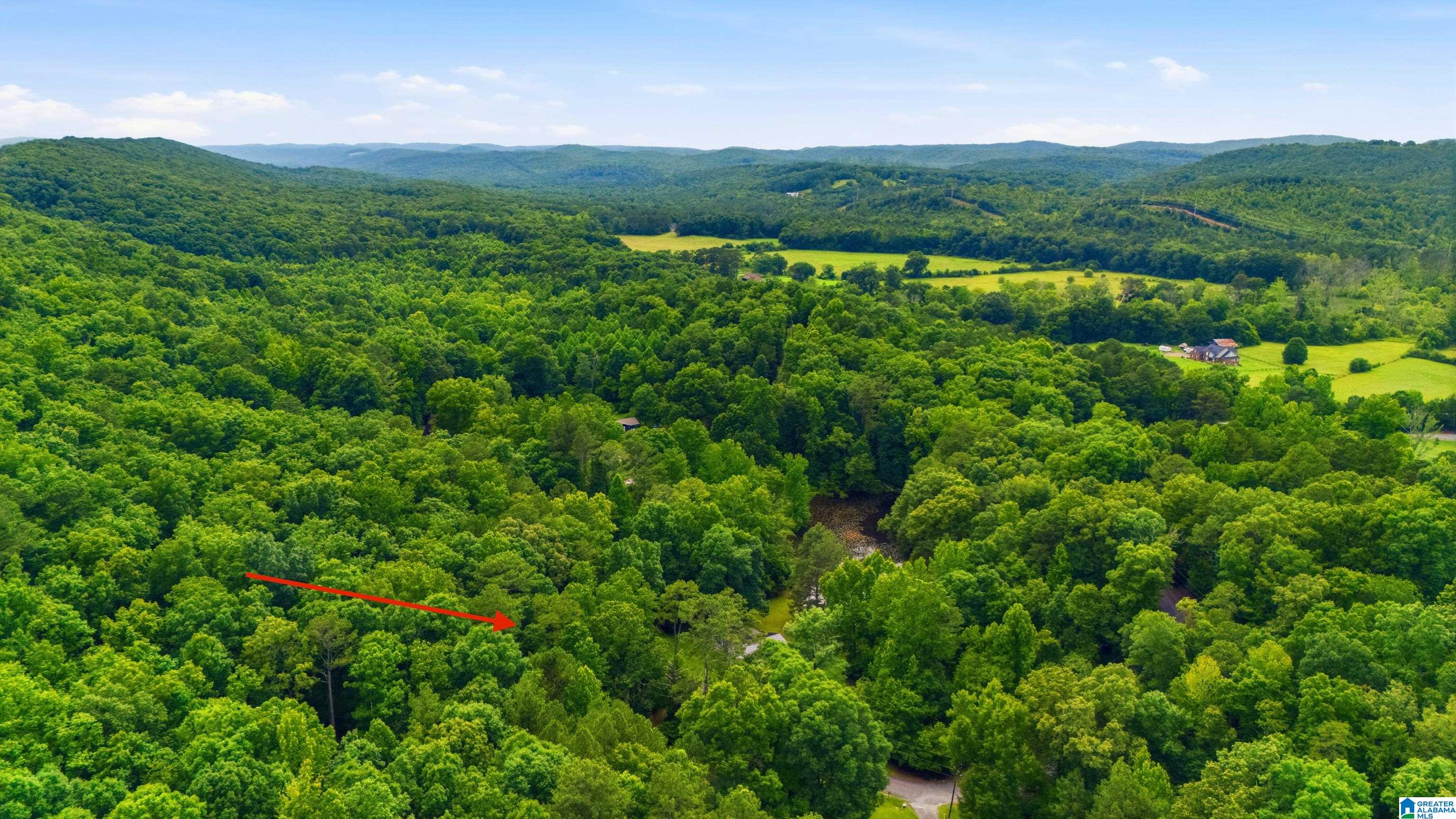 38th image of 215 Oak Ridge Dr, Oneonta, AL 35121 | MLS# 21454882