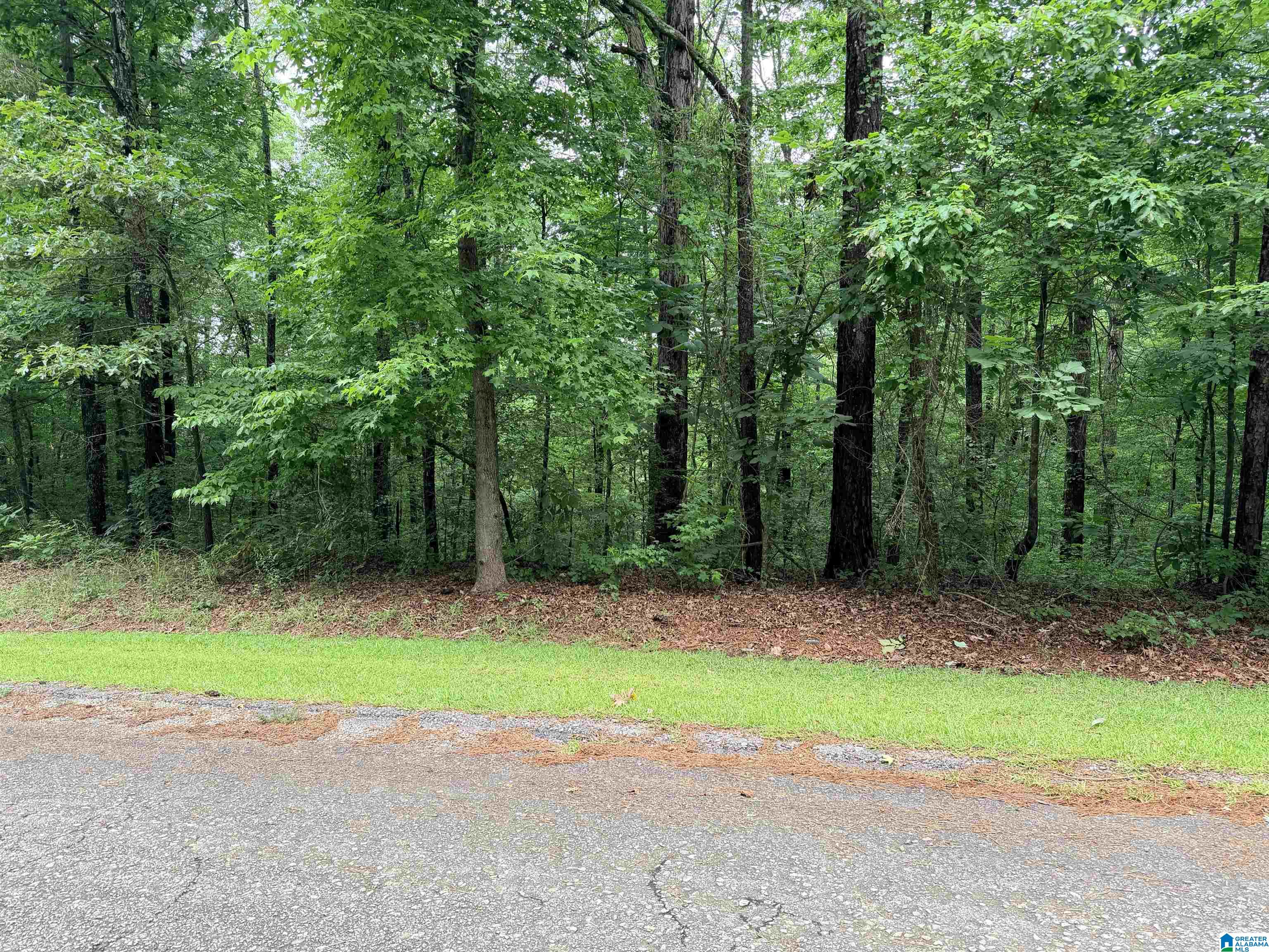 72 RIDGEWOOD DRIVE