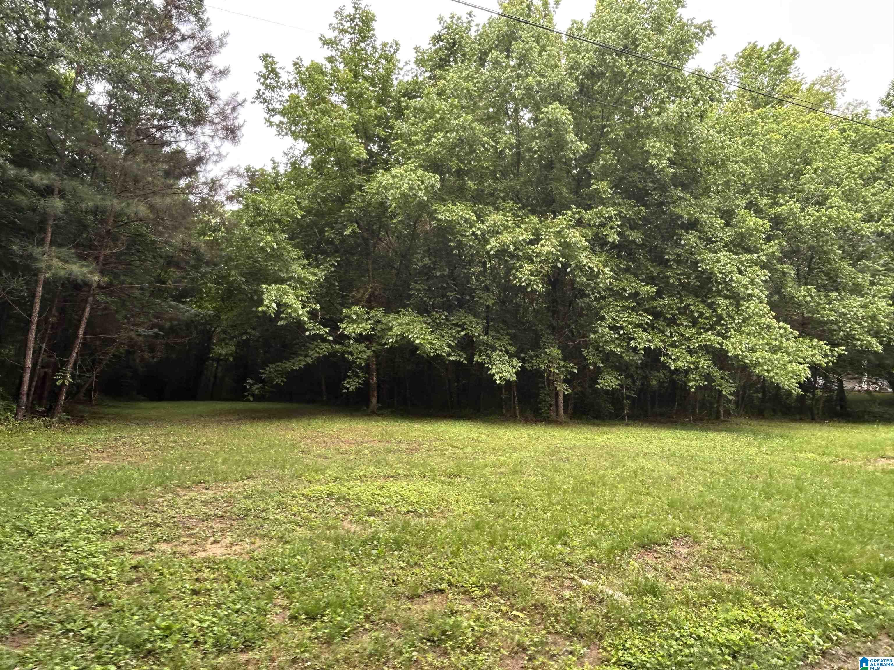 Homes for sale in Helena, AL | 525 Poplar Lane, Helena, AL 35244 | MLS# 21454924