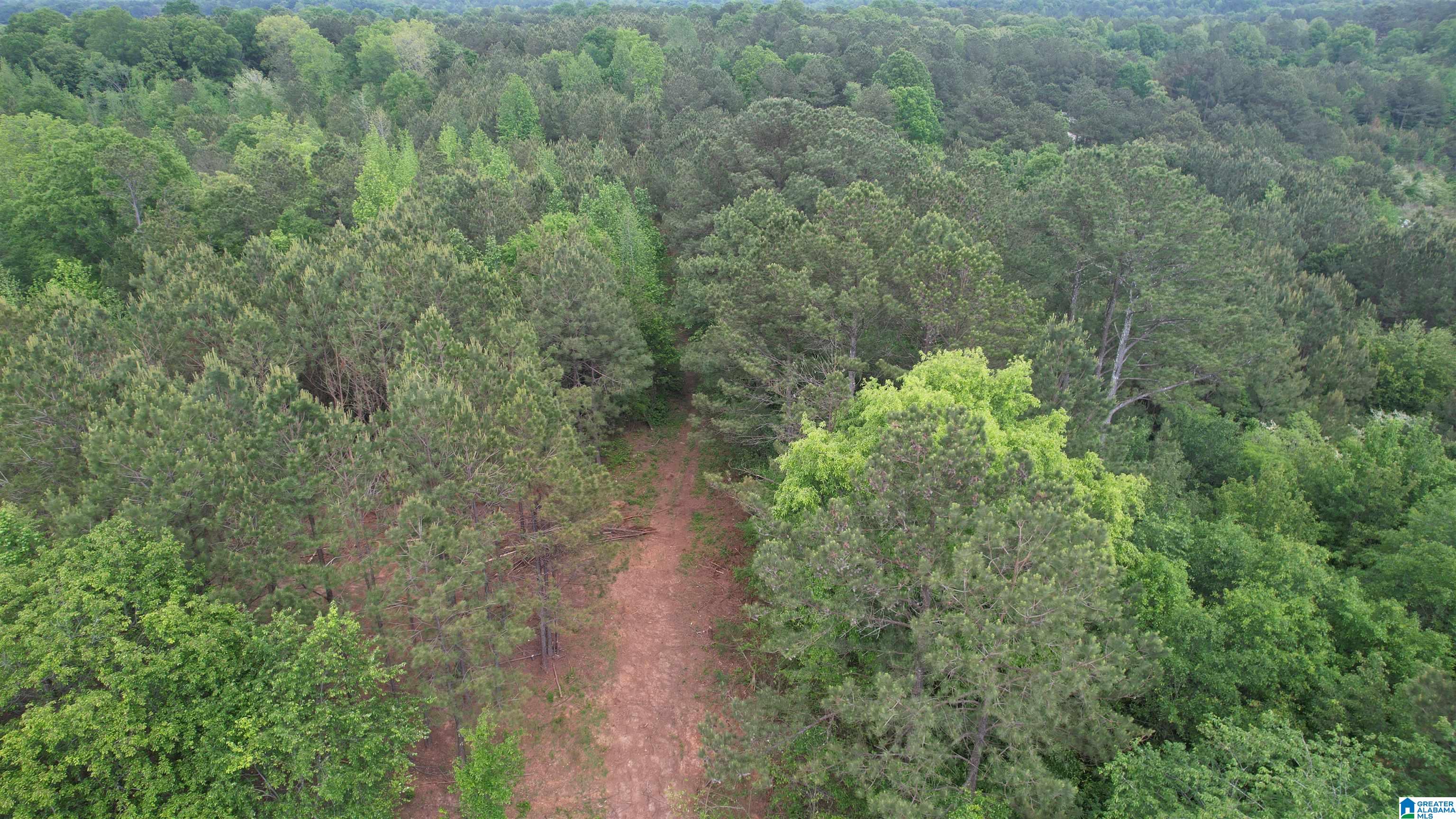 Homes for sale in Talladega, AL | 0 Armstrong Mtn Lane, Talladega, AL 35160 | MLS# 21454943