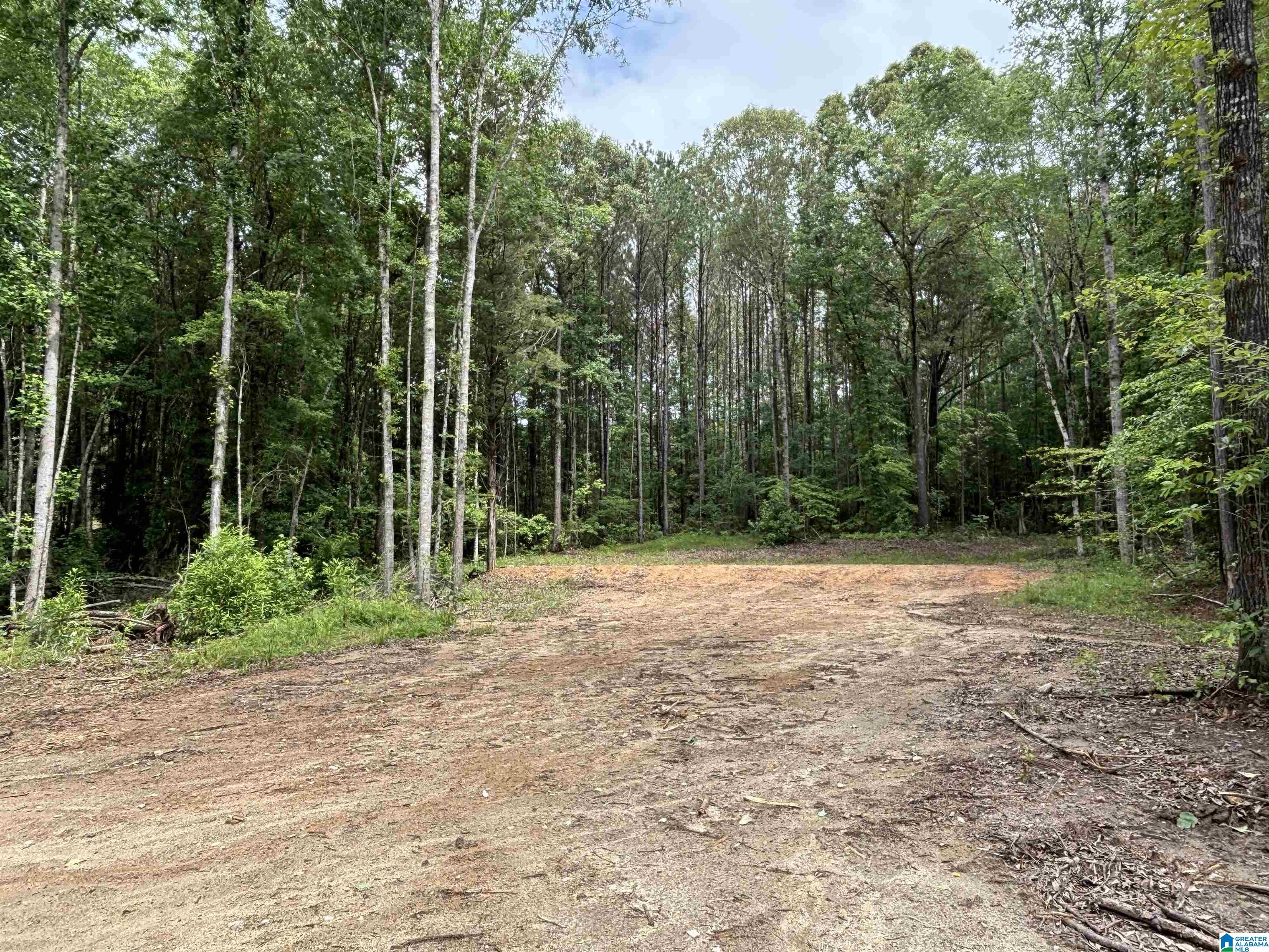 Tract 2 343 COUNTY ROAD 892
