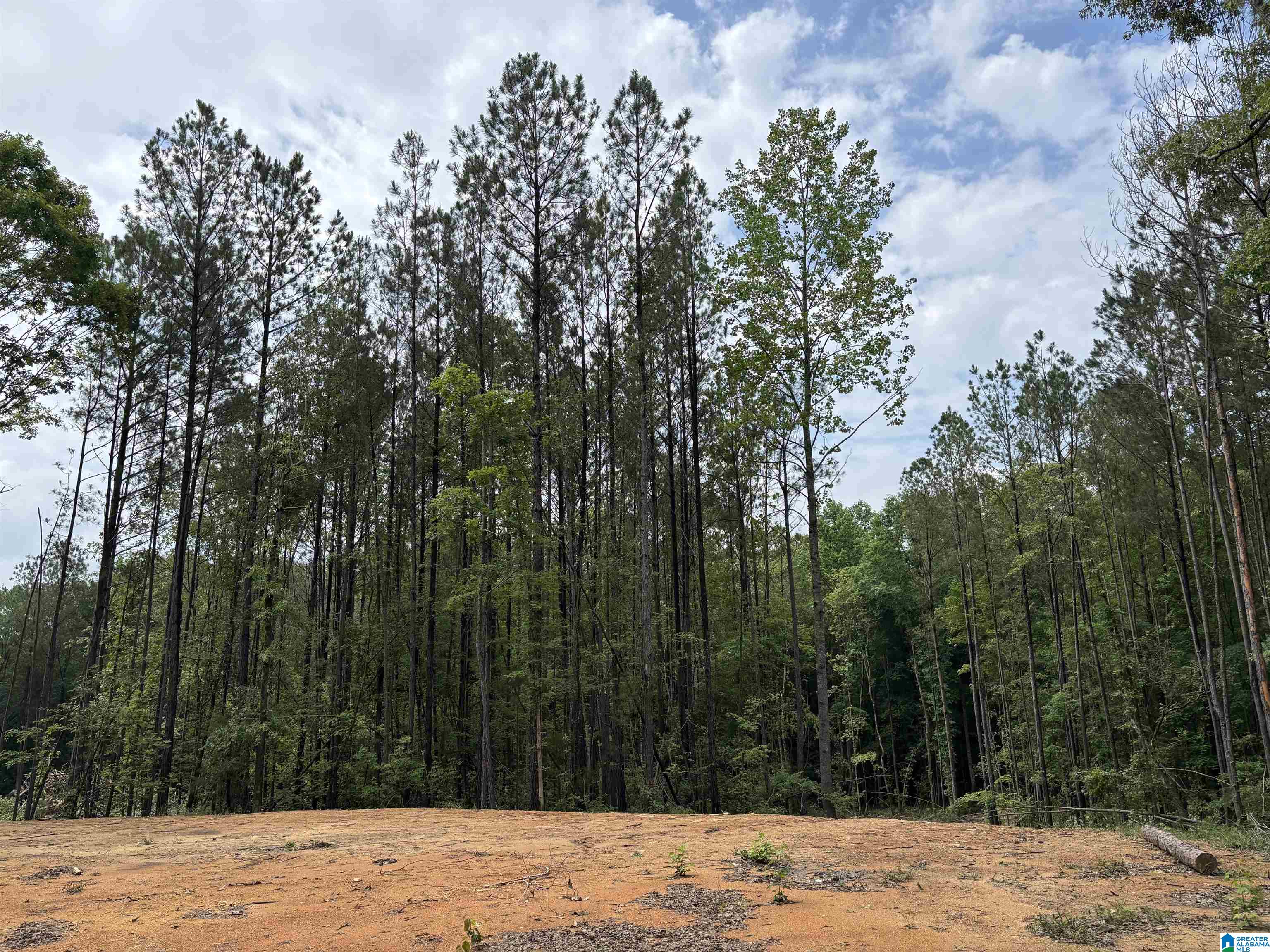 Tract 3 343 COUNTY ROAD 892