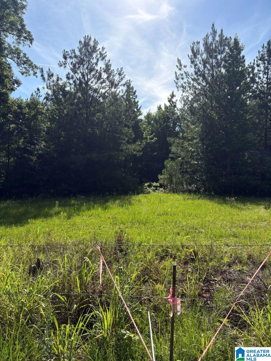 988 COUNTY ROAD 123