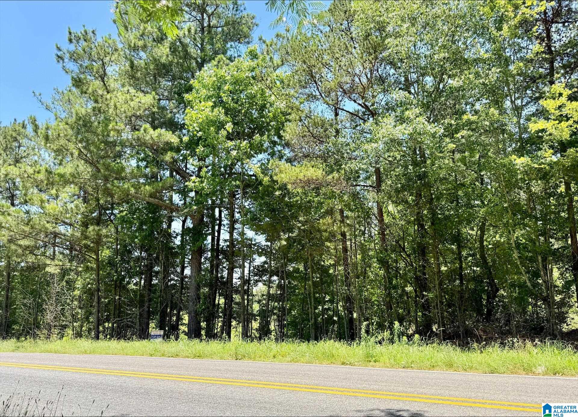0 COUNTY ROAD 82