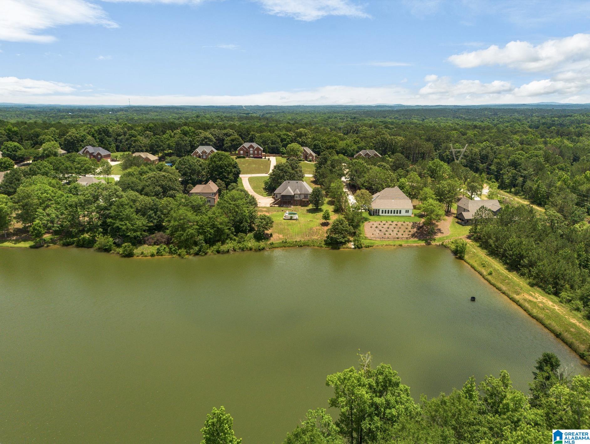 4th image of 630 Emerald Trace, Chelsea, AL 35043 | MLS# 21455113