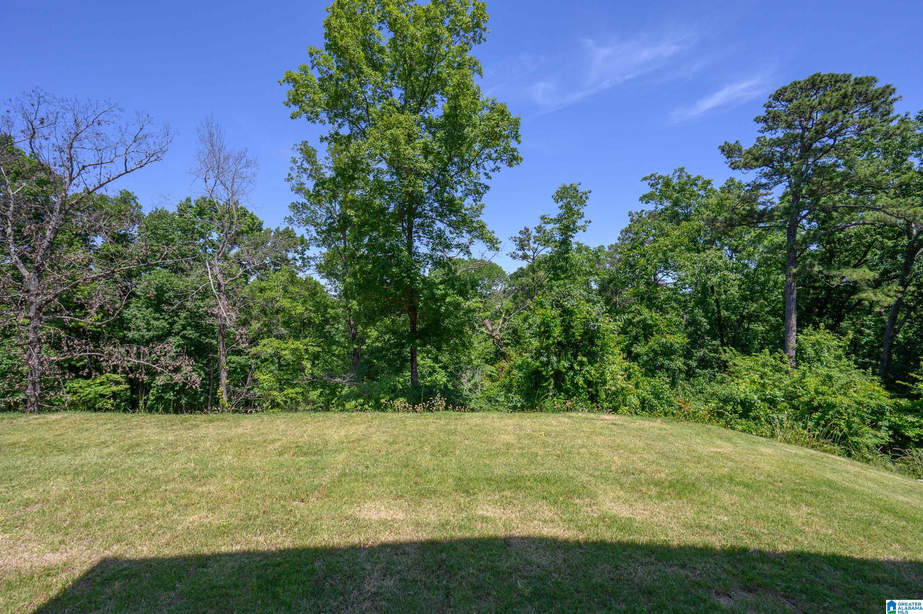 Homes for sale in Homewood, AL | 1580 Forest Ridge Road, Homewood, AL 35226 | MLS# 21455218