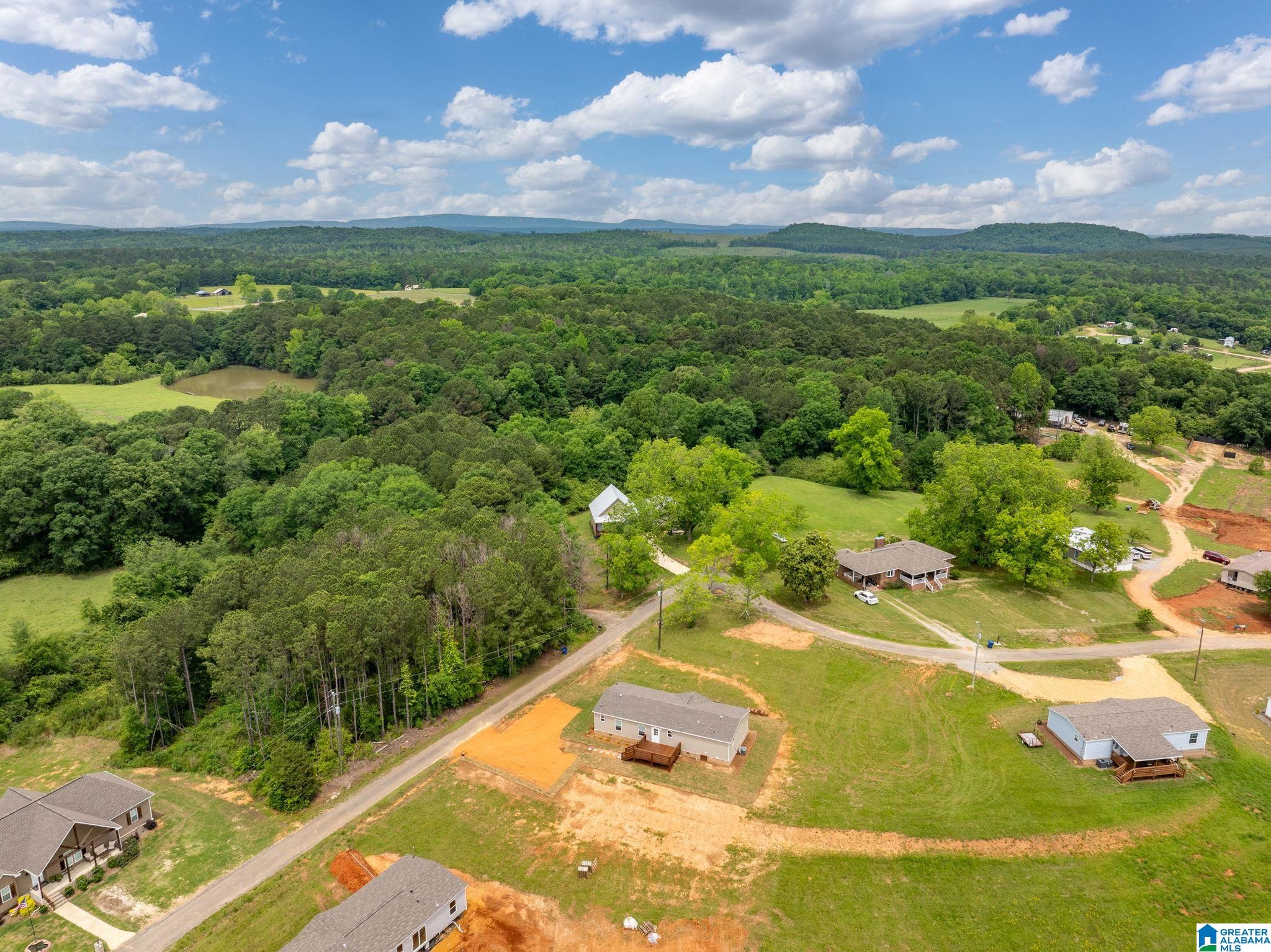 Homes for sale in Cropwell, AL | 55 S T Smith Court, Cropwell, AL 35054 | MLS# 21455304