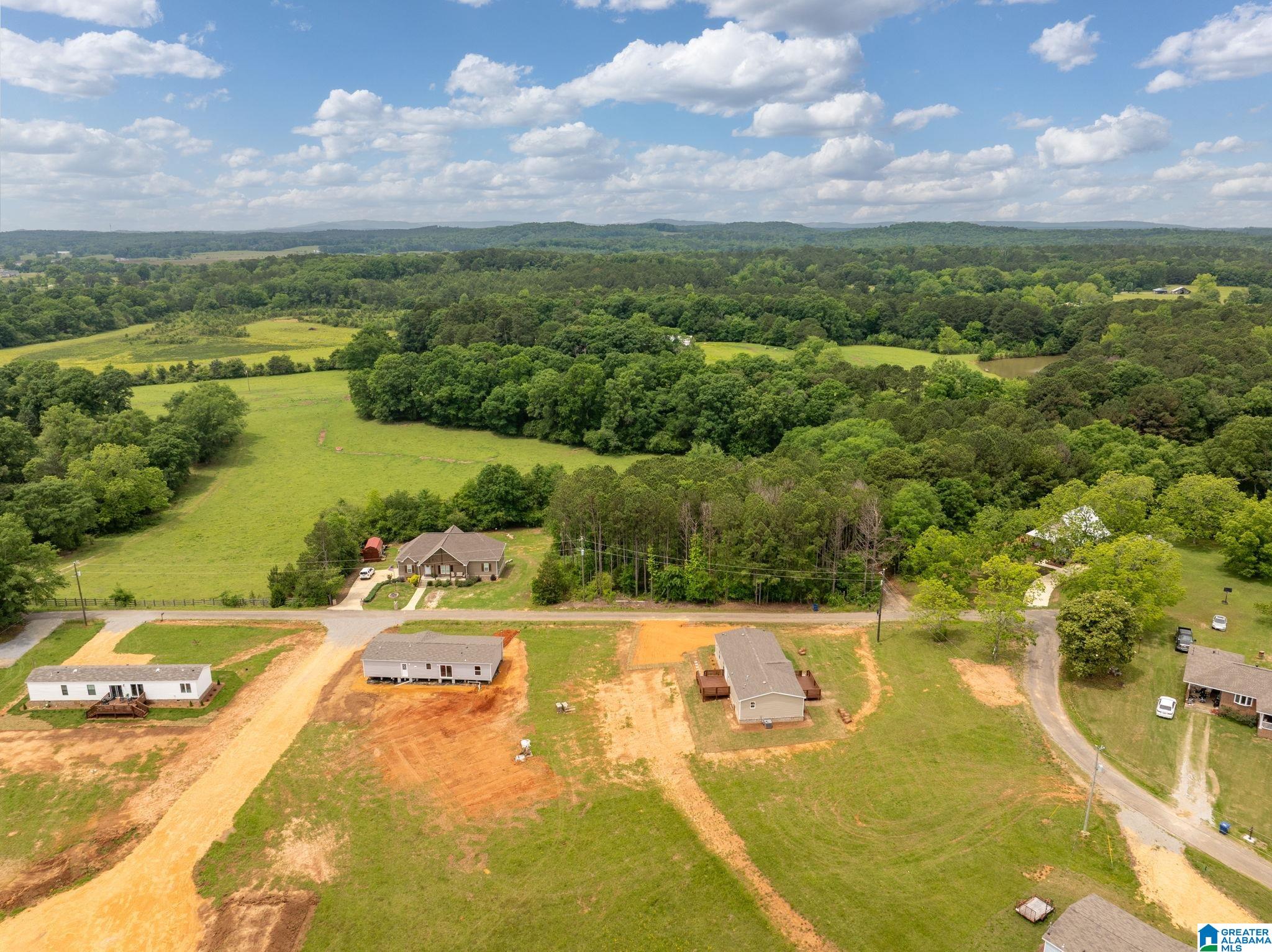 Homes for sale in Cropwell, AL | 55 S T Smith Court, Cropwell, AL 35054 | MLS# 21455304