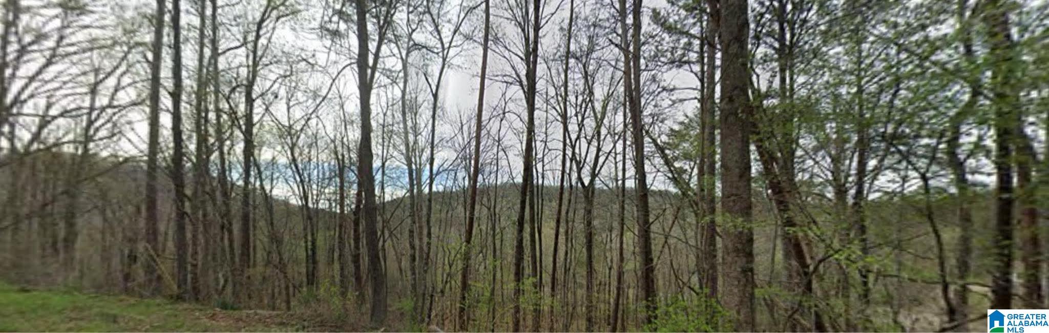 0000 RED VALLEY ROAD