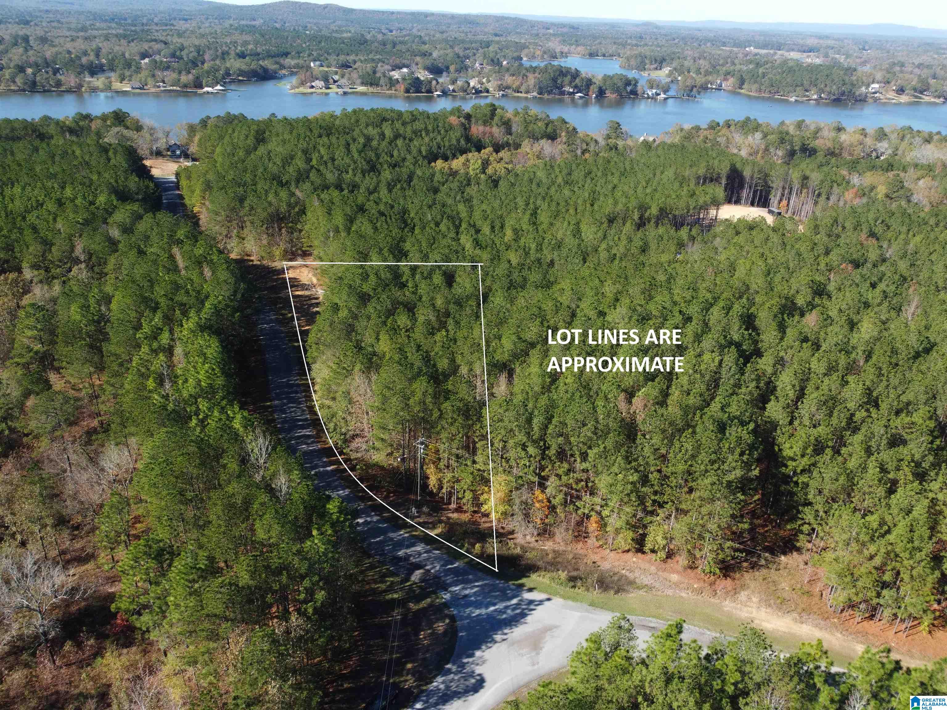 Lot 221 SHORE SIDE LANE