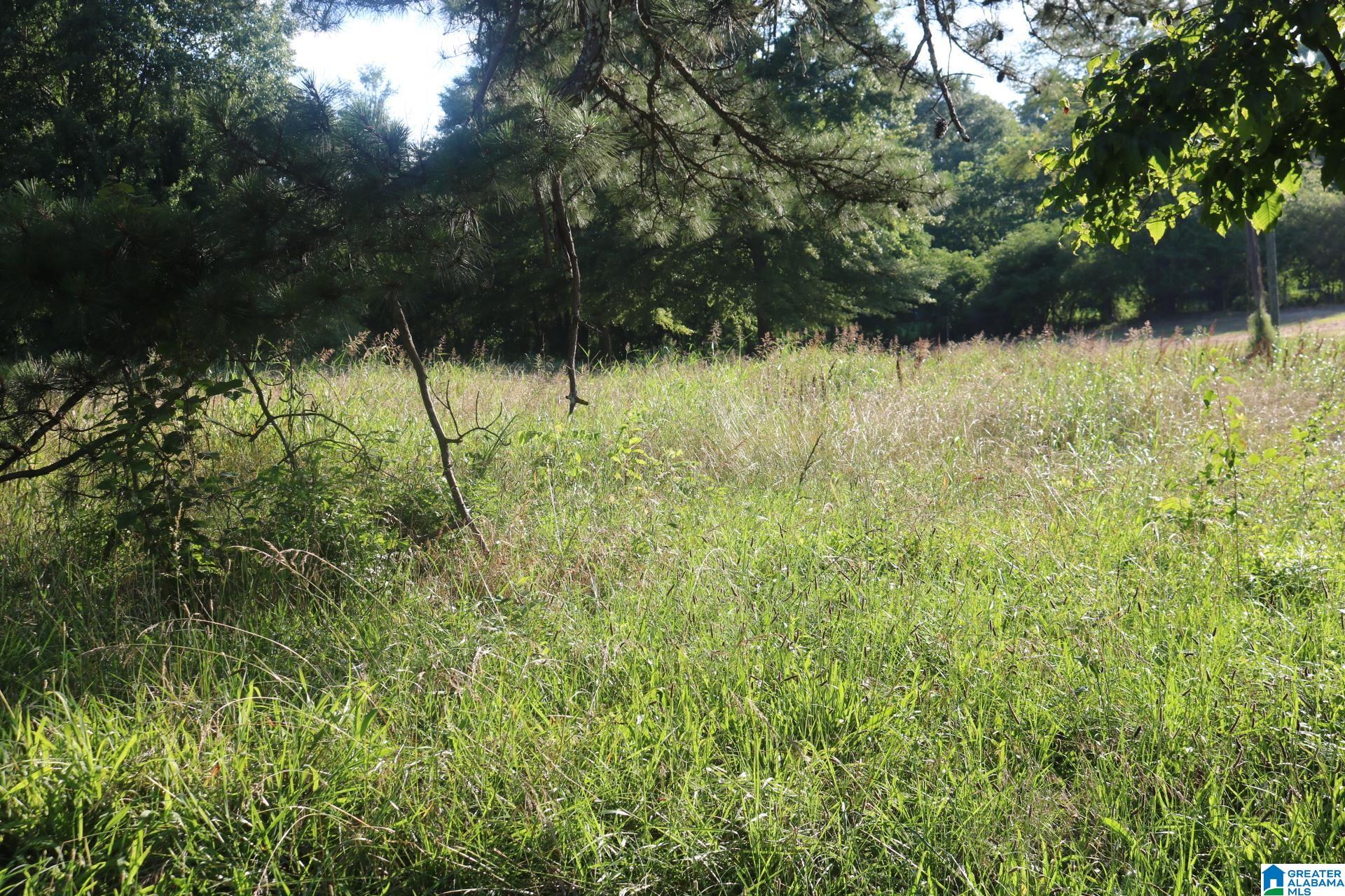 174 POPLAR SPRINGS DRIVE