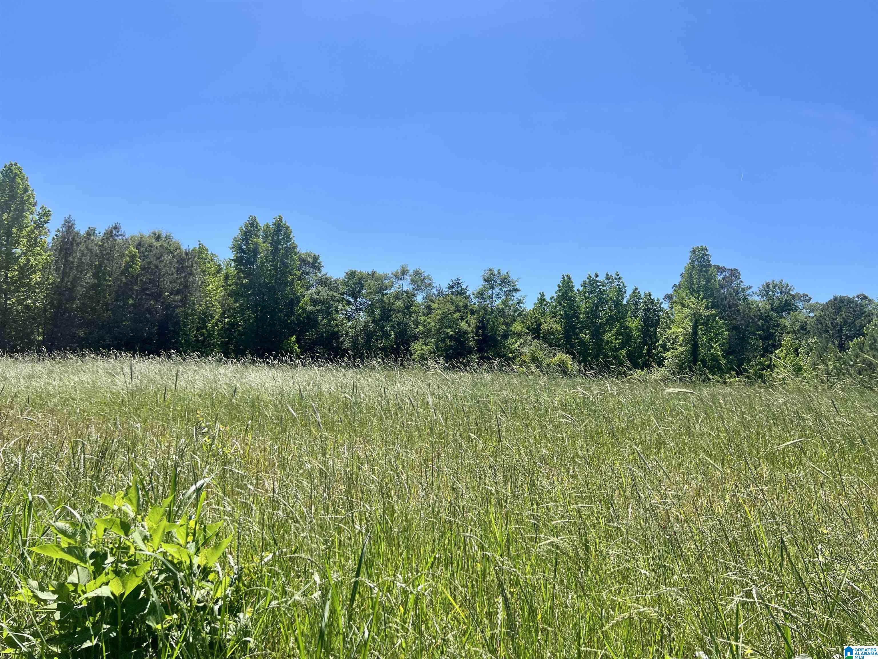 1st image of 0 County Road 7, Wedowee, AL 36278 | MLS# 21455557
