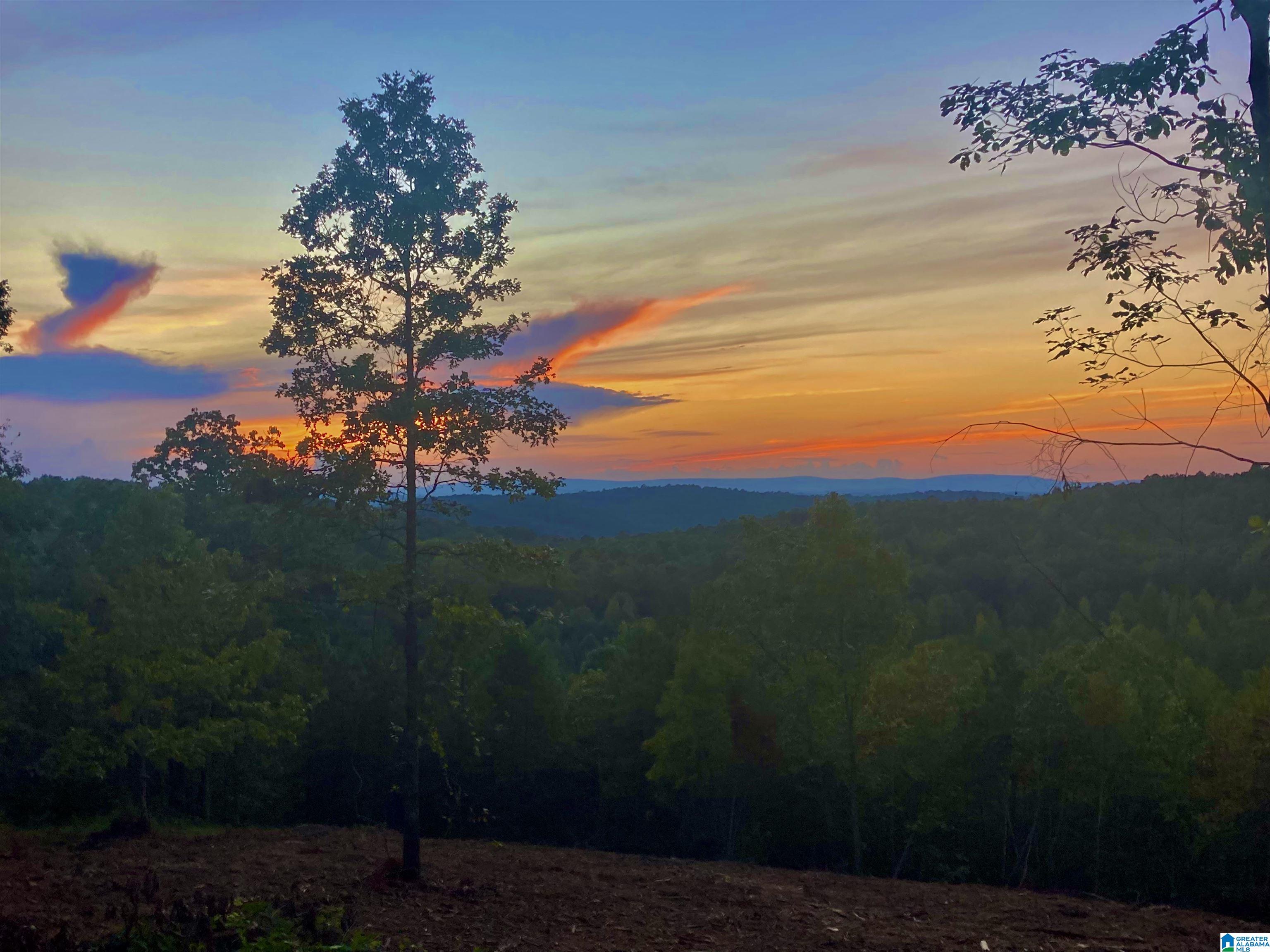 15th image of 0 County Road 7, Wedowee, AL 36278 | MLS# 21455557