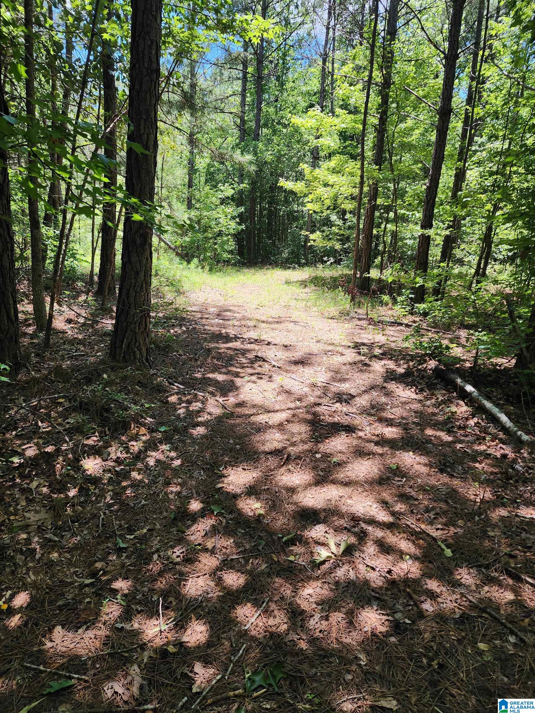 7218 COUNTY ROAD 26