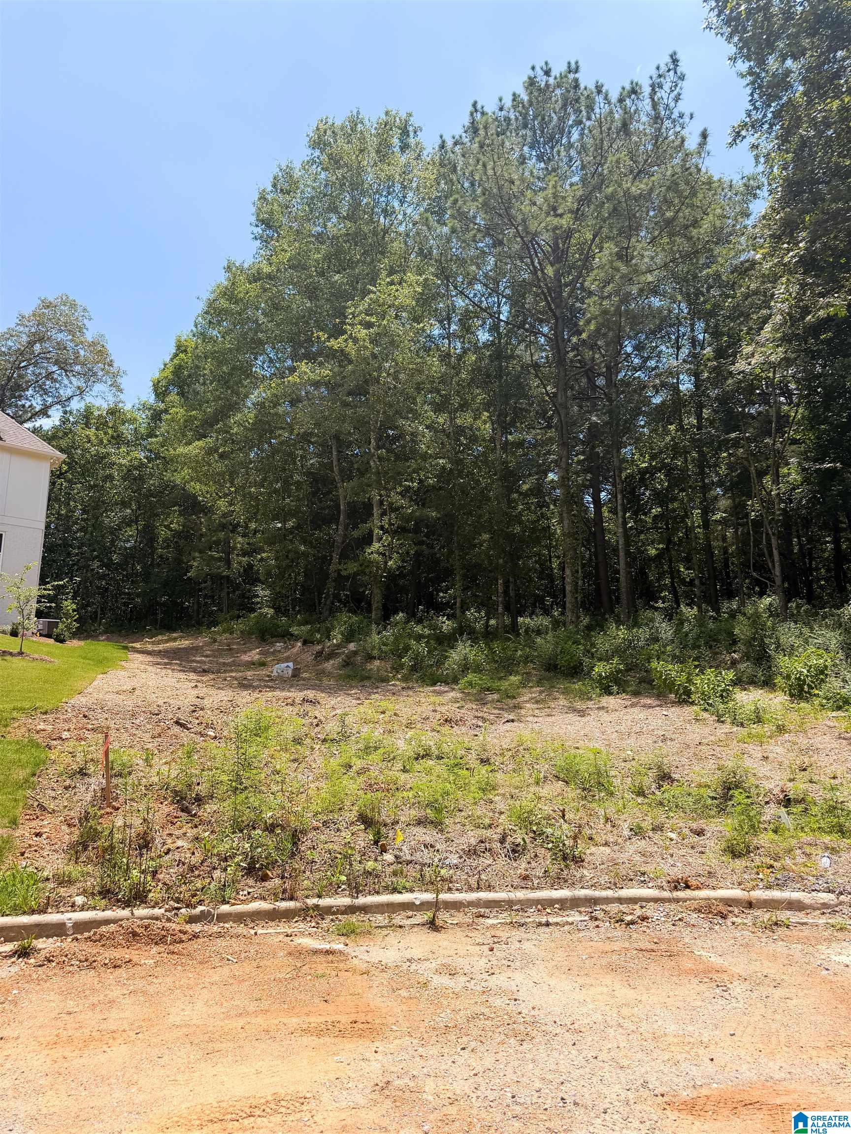 248 MOUNTAIN LAKE TRAIL