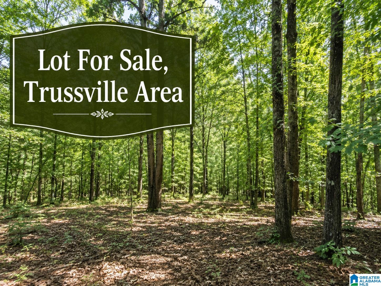 Homes for sale in Trussville, AL | 3233 Robert Lee Road, Trussville, AL 35173 | MLS# 21455735