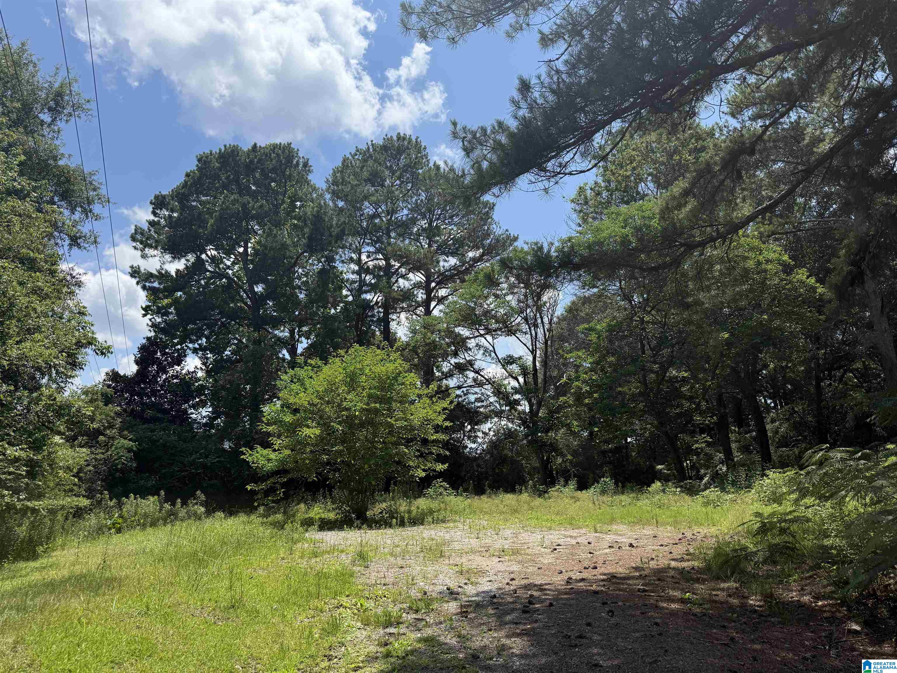 141 HIGHWAY 231