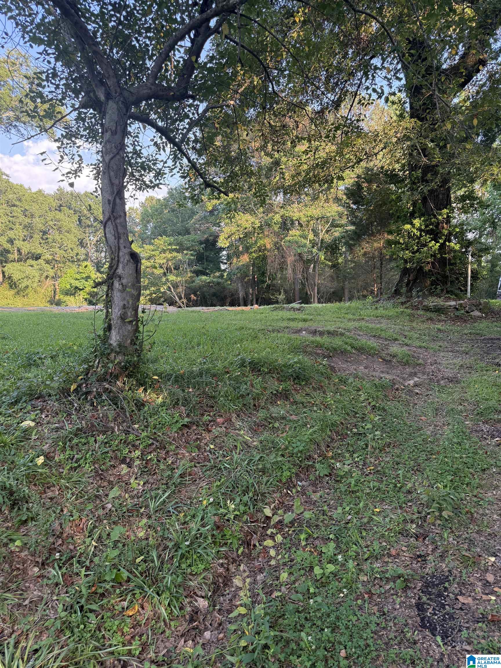 937 MORRIS MAJESTIC ROAD