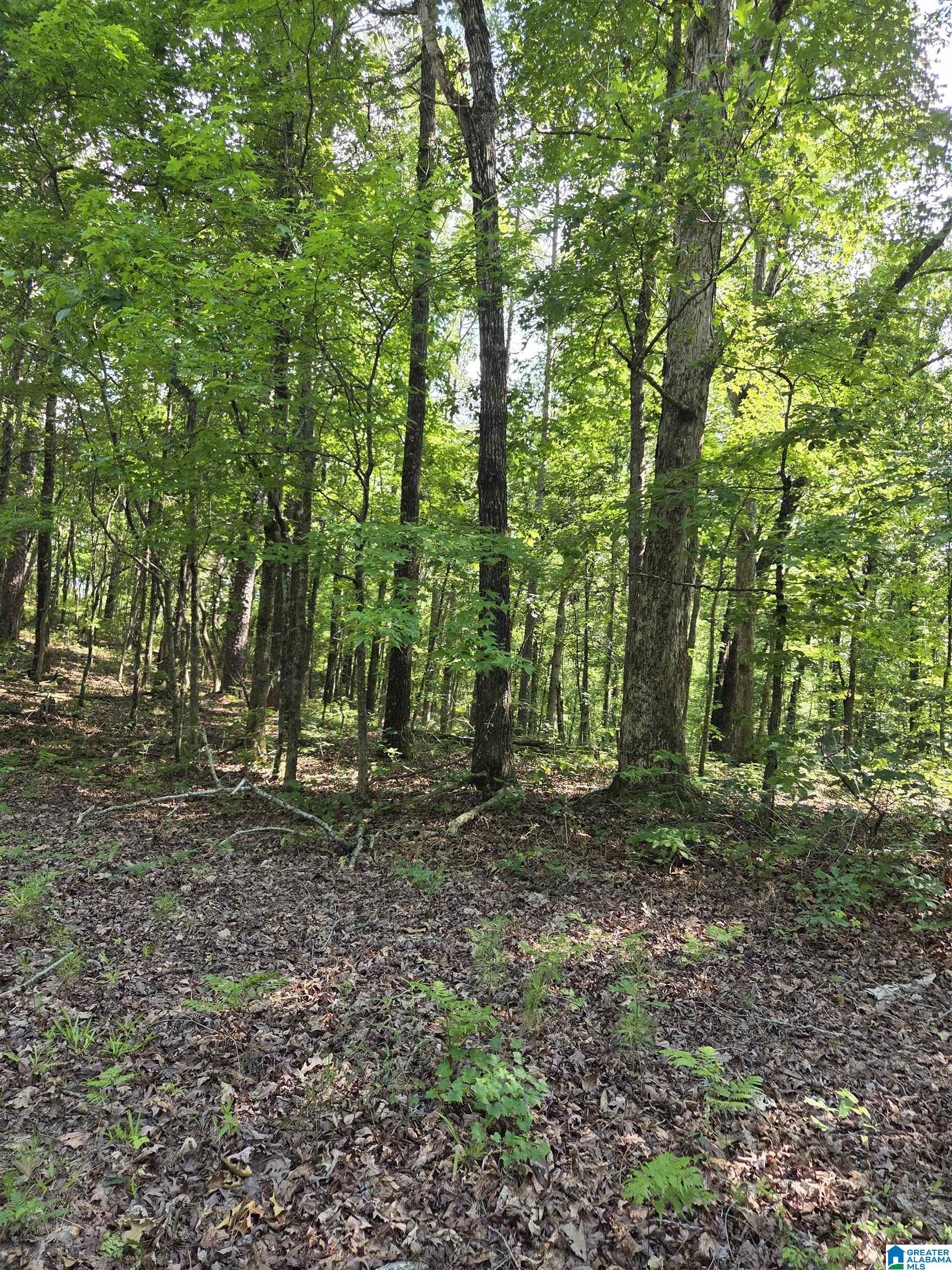 Photo 1 of Land at 0 Highway 280, Sylacauga, AL 35151 | MLS# 21455896 |  | Sold on 2026-07-08