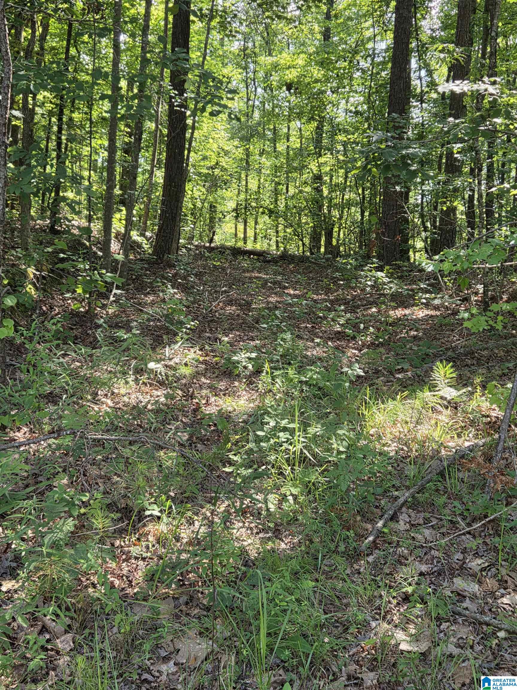 Photo 2 of Land at 0 Highway 280, Sylacauga, AL 35151 | MLS# 21455896 |  | Sold on 2026-07-08