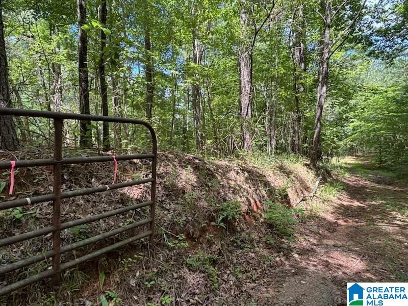 0 COOSA COUNTY ROAD 29
