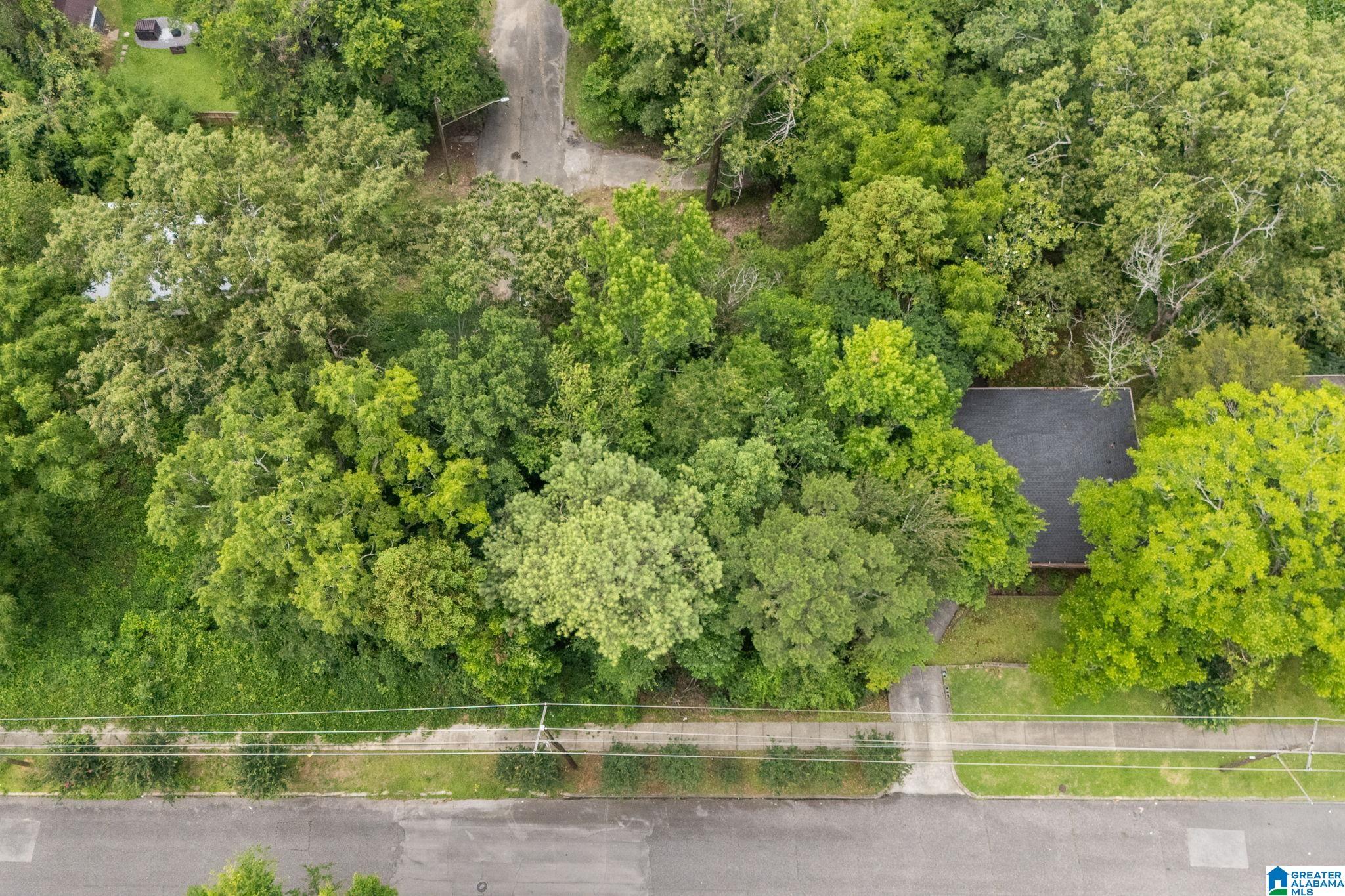 Photo 2 of Land for sale at 8038 7th Avenue S, Birmingham, AL 35206 | MLS# 21456109 | Listing updated on 2026-09-02