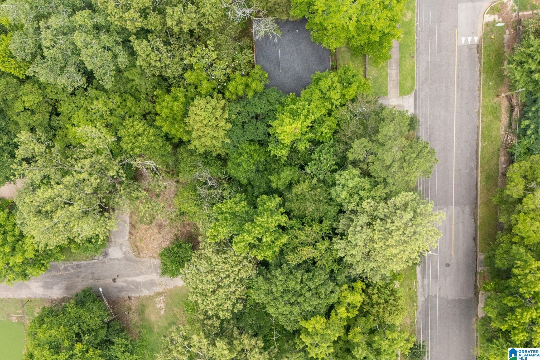 Photo 3 of Land for sale at 8038 7th Avenue S, Birmingham, AL 35206 | MLS# 21456109 | Listing updated on 2026-09-02