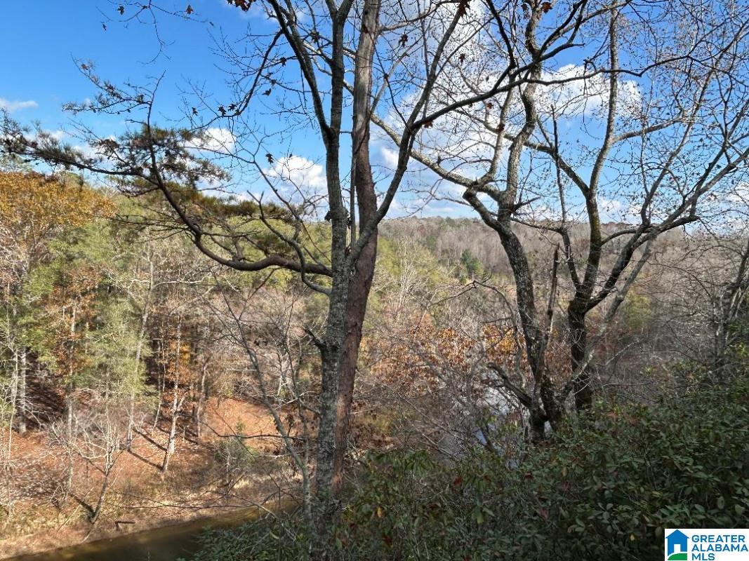 4.15 acres N HAGLER ROAD