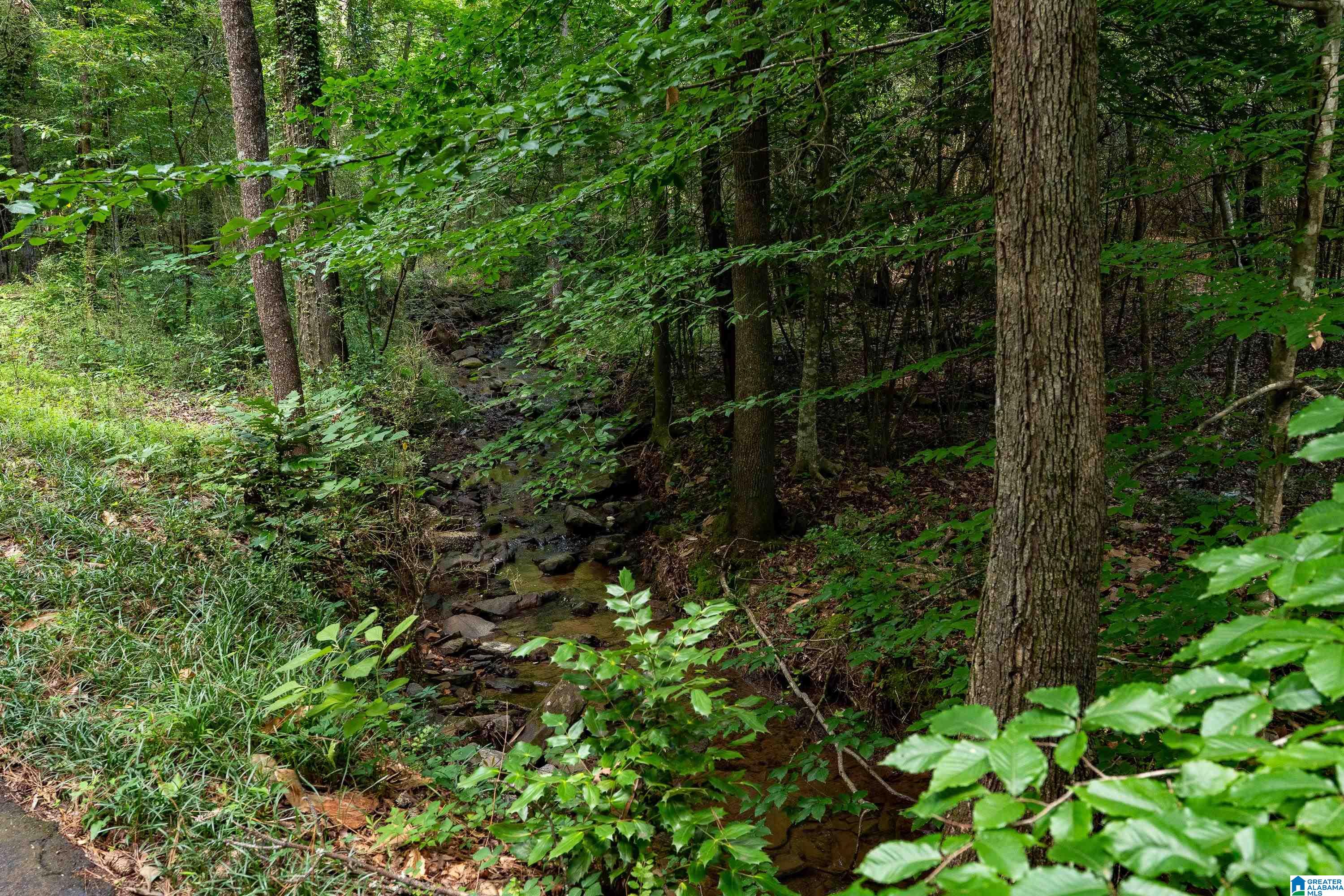 60th image of 2658 Dolly Brook Lane, Vestavia Hills, AL 35243 | MLS# 21456176