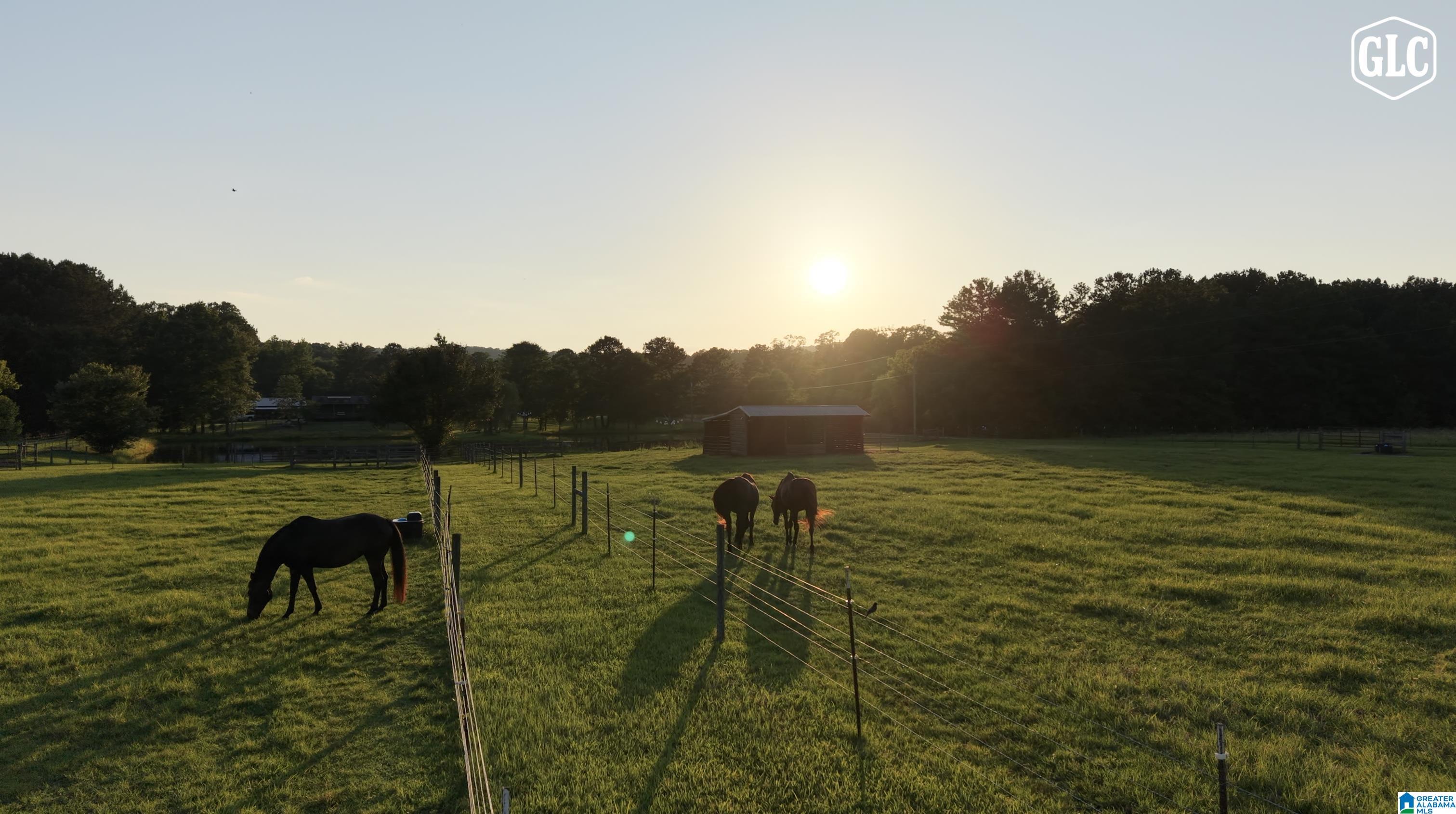 3rd image of 4371 Dead Hollow Road, Harpersville, AL 35078 | MLS# 21456217