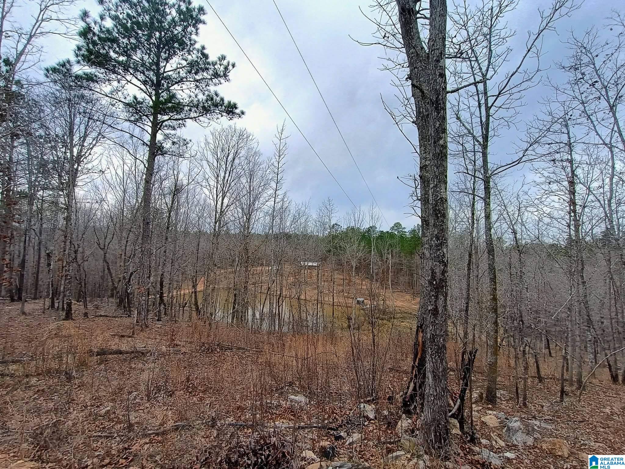 13233 AL HIGHWAY 9
