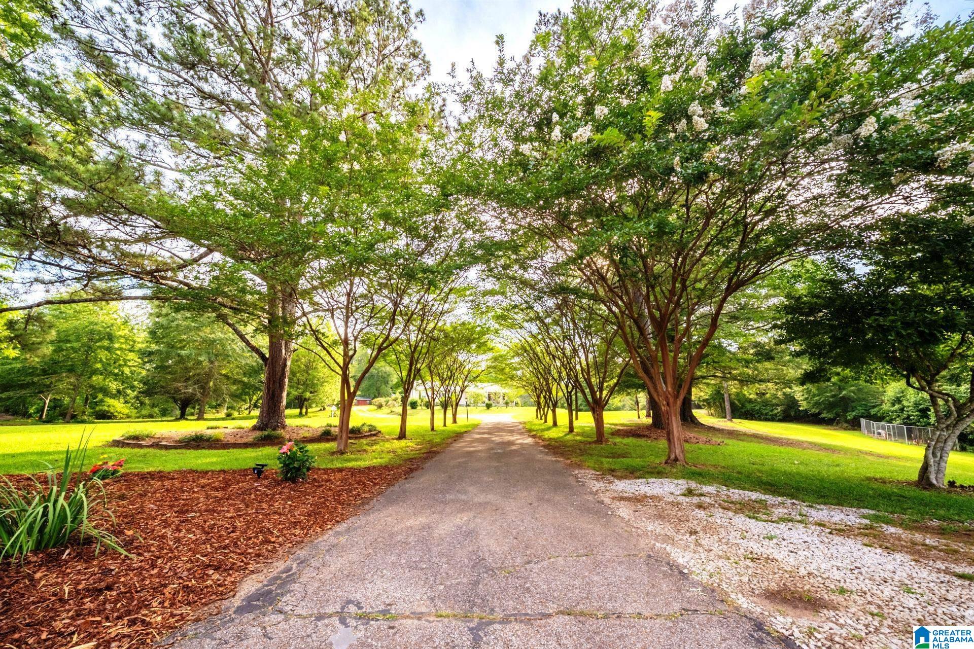 Homes for sale in Ashland, AL | 5141 County Road 5, Ashland, AL 36251 | MLS# 21456513