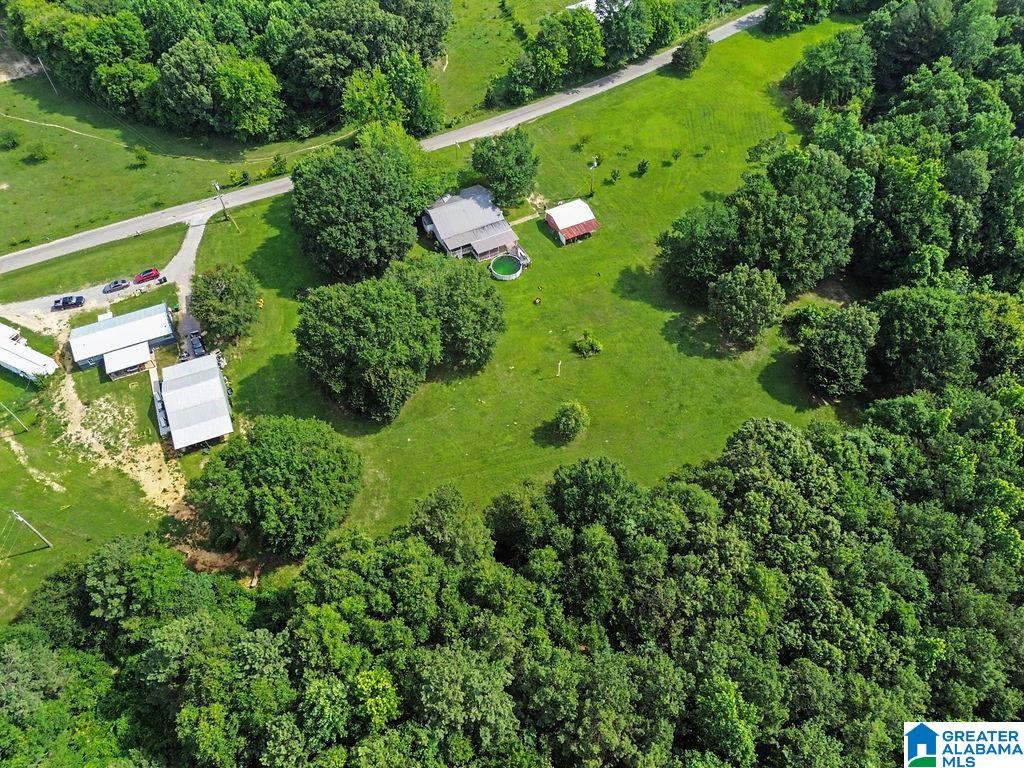 Photo 61 of Single family home for sale at 145 County Rd 40, Logan, AL 35098 | MLS# 21456528 | Listing updated on 2026-08-20